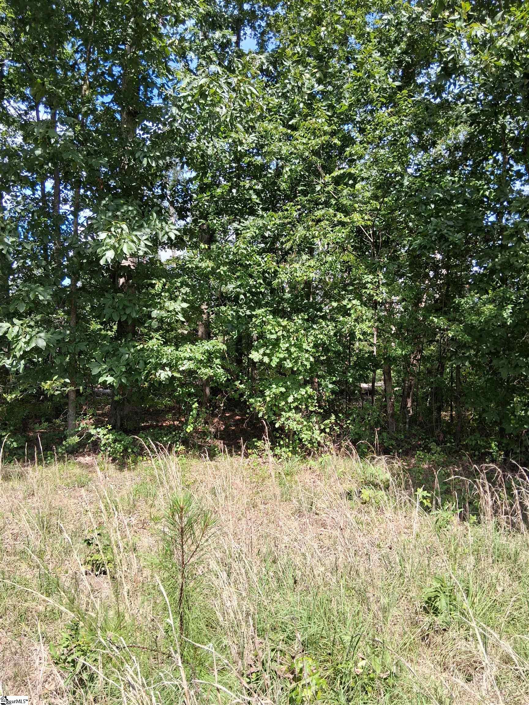 117 Iodine State Beagle Road Simpsonville, SC 29681