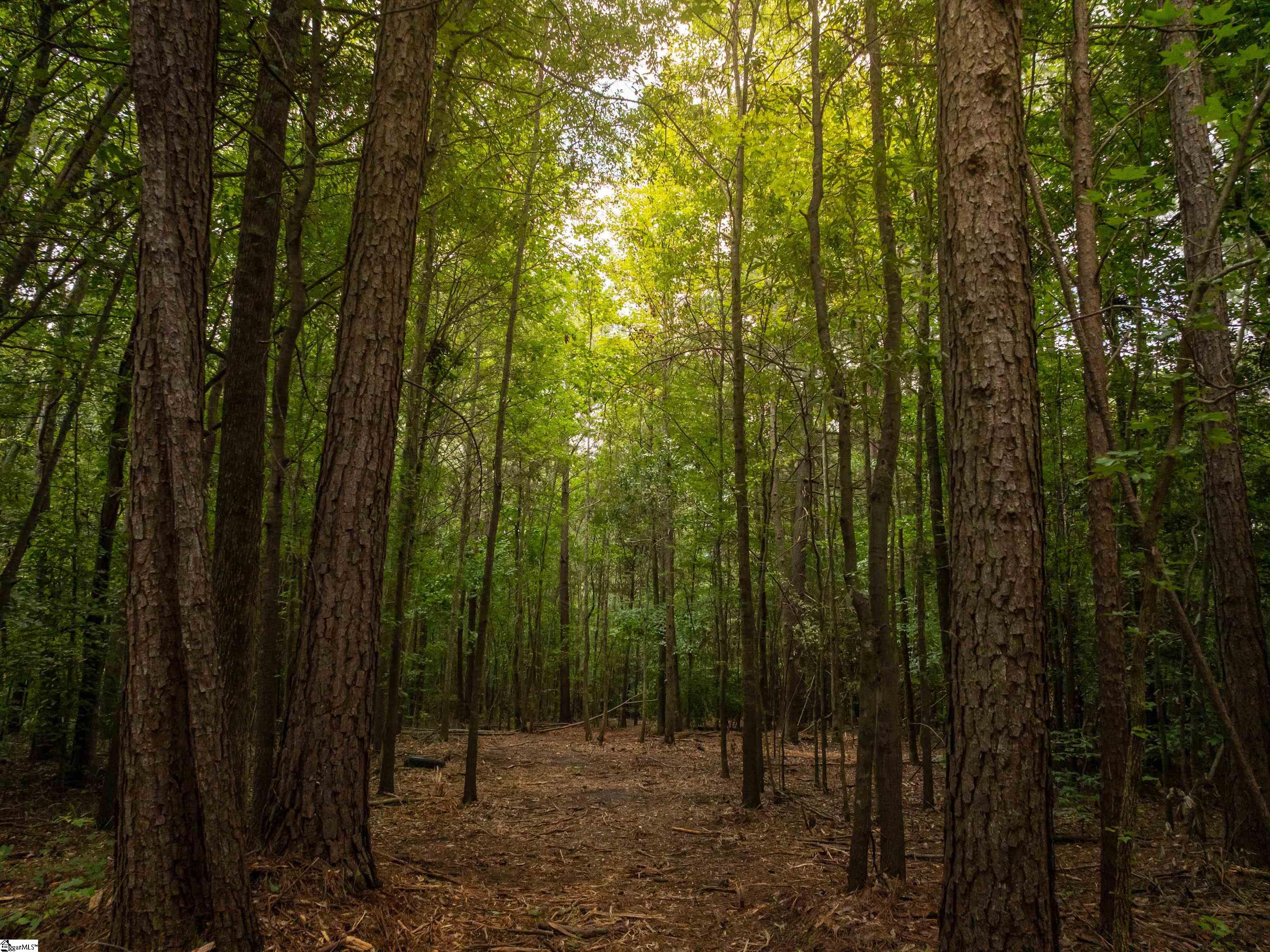 01 Pinetree Road Townville, SC 29689