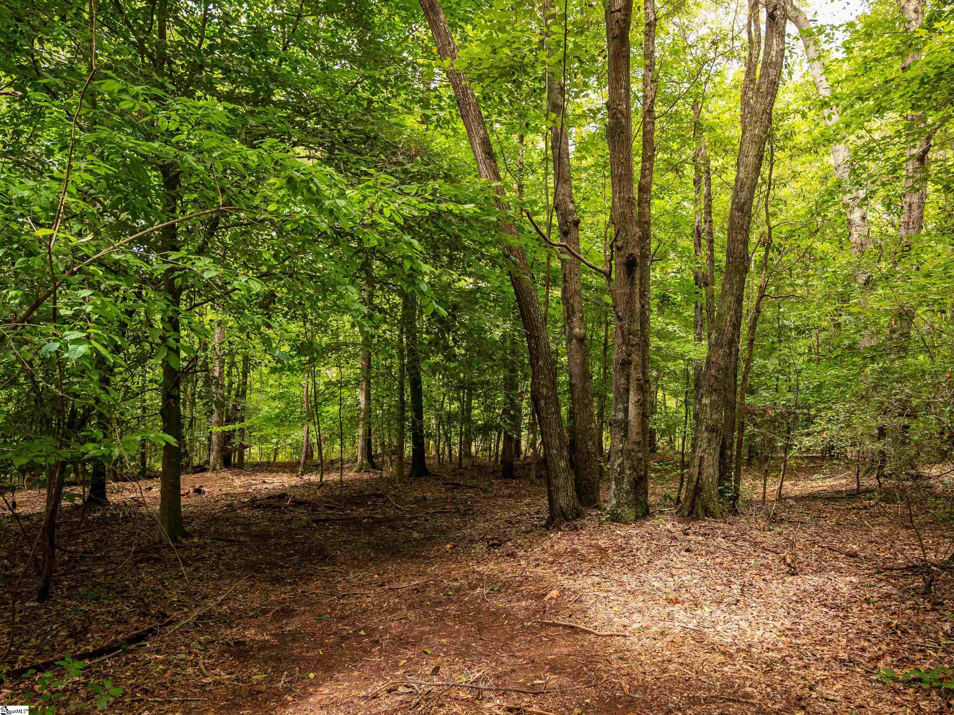 01 Pinetree Road Townville, SC 29689