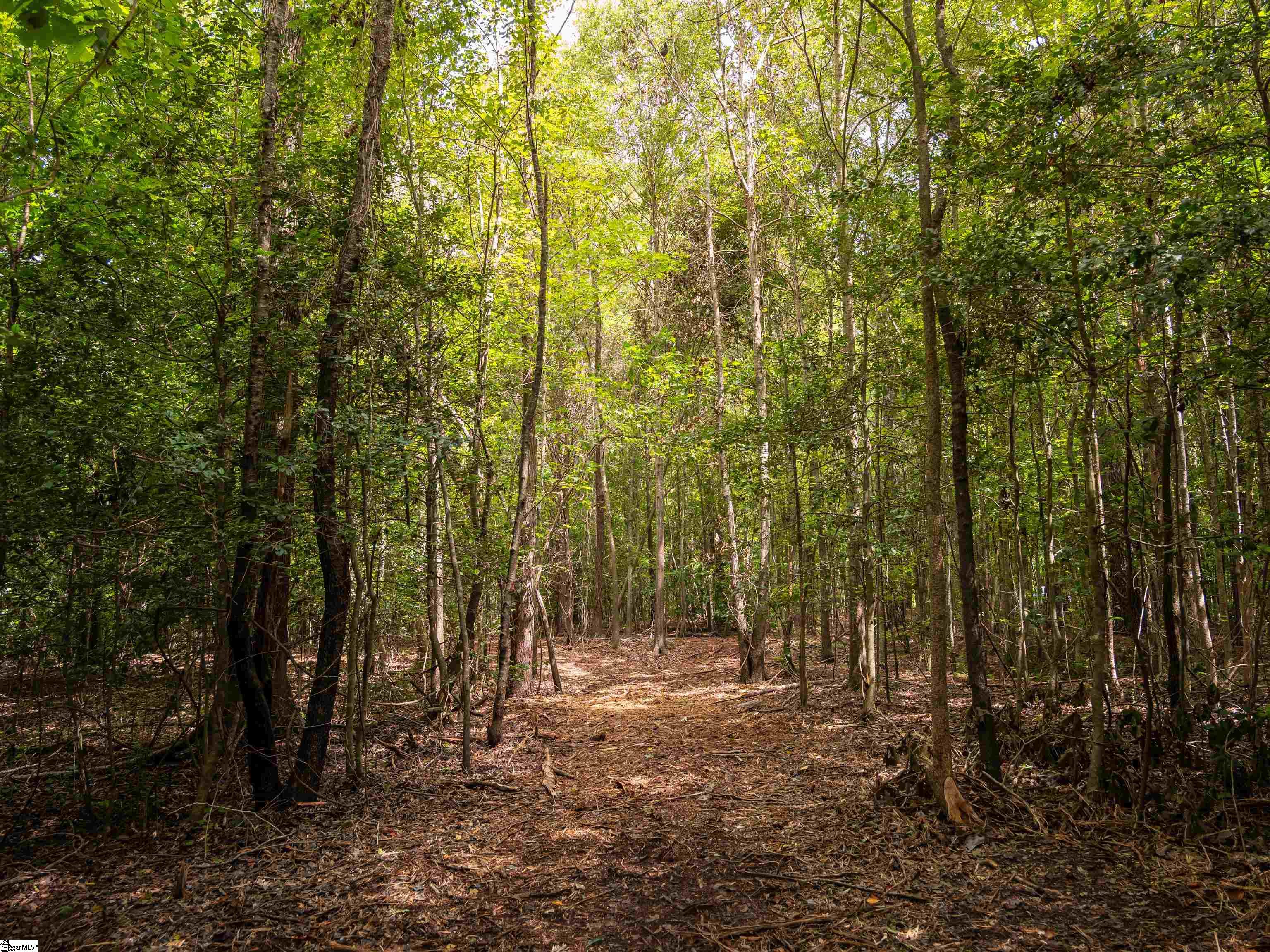 01 Pinetree Road Townville, SC 29689