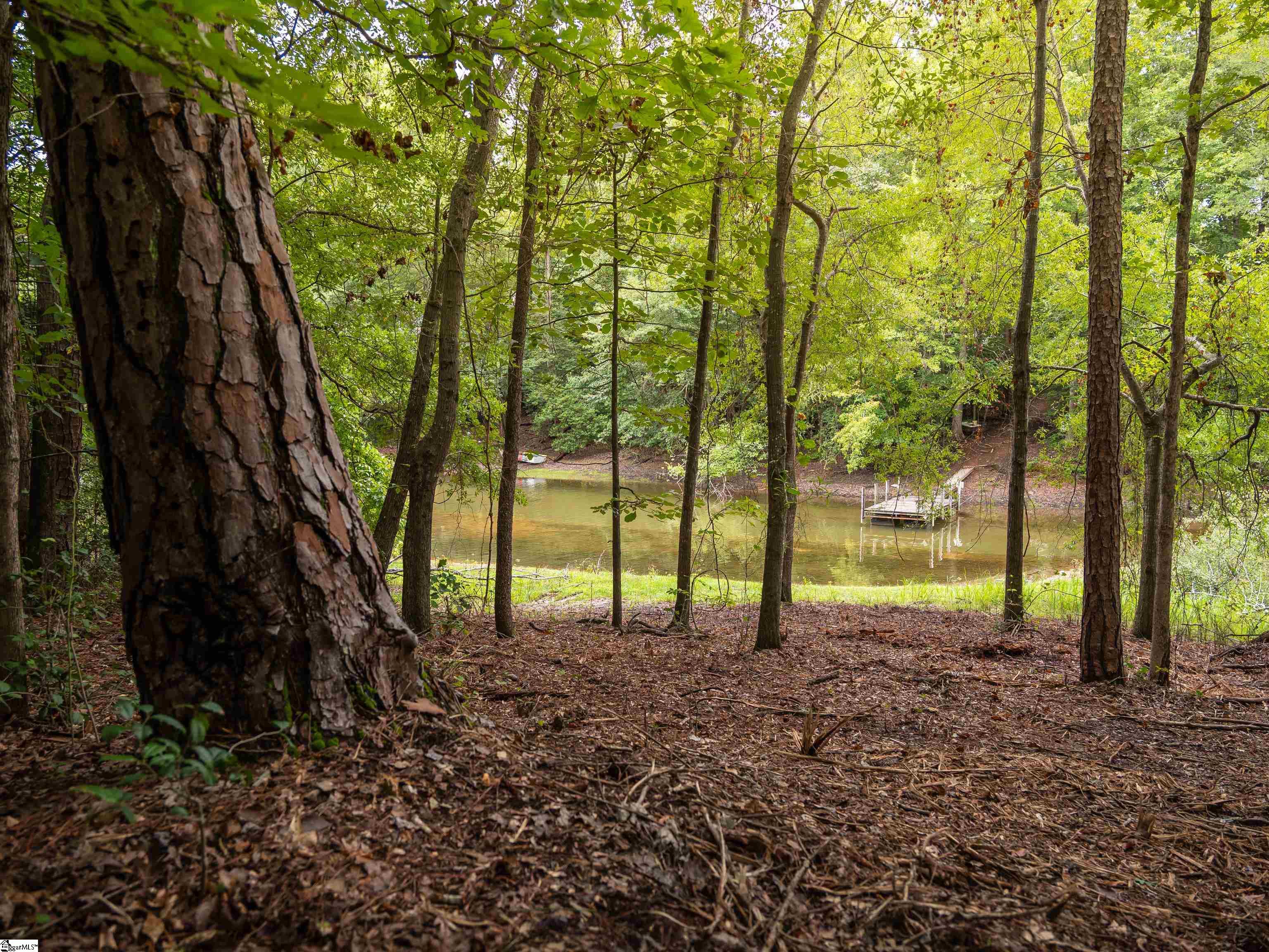 02 Pinetree Road Townville, SC 29689