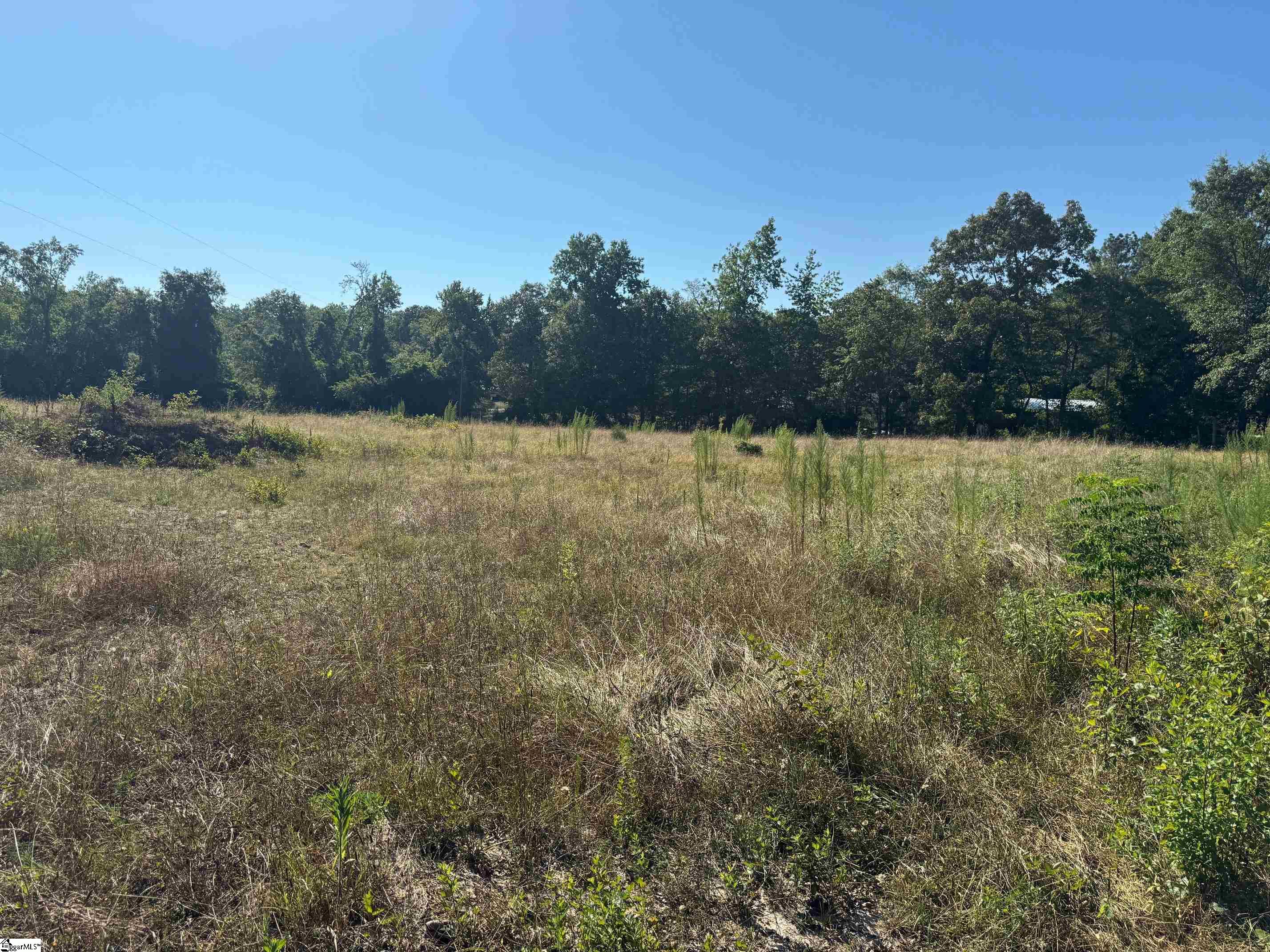 00 Mount Ariel Road Hodges, SC 29653