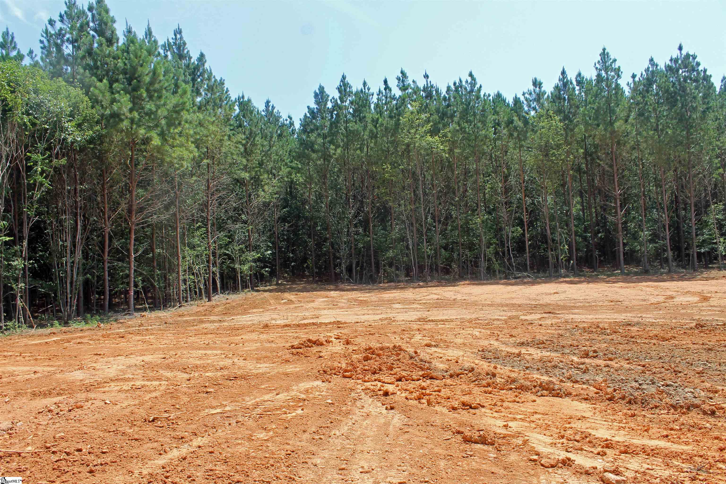 299 Palmetto Road Pelzer, SC 29669-0000