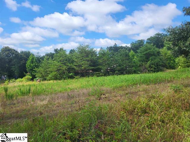 1212 Pleasant Hill Road Landrum, SC 29356