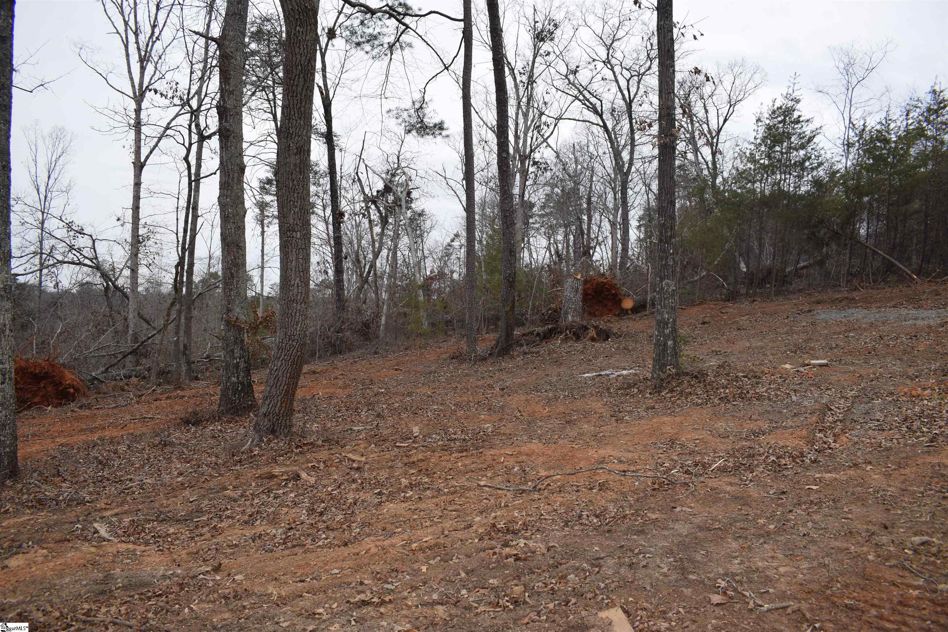 414 Walkaloosa Way Mooresboro, NC 28114