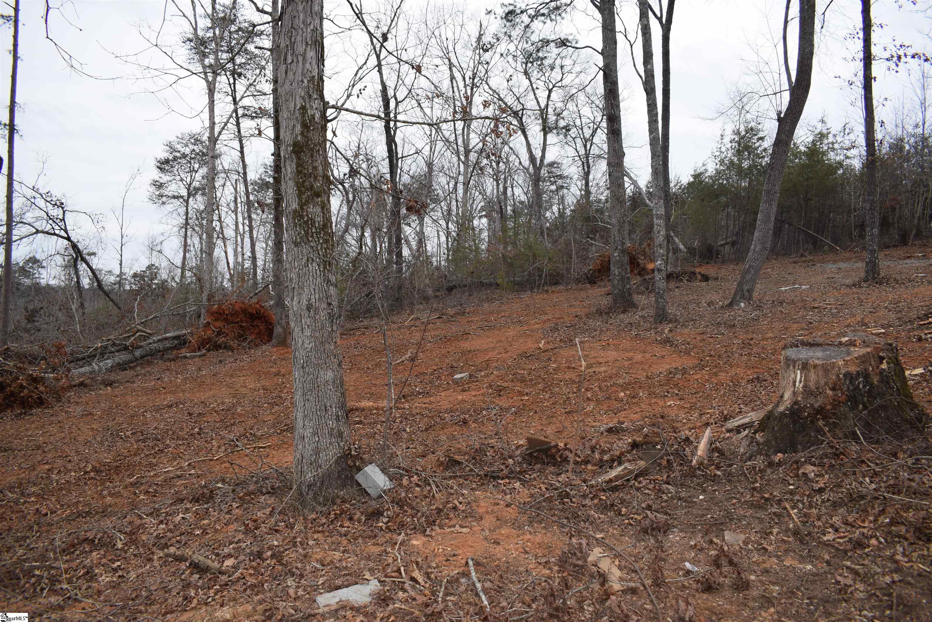 414 Walkaloosa Way Mooresboro, NC 28114