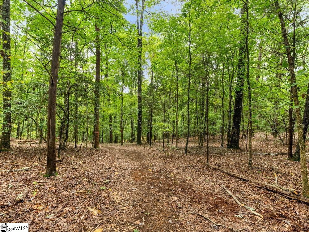 725 W River Grove Circle Roebuck, SC 29376