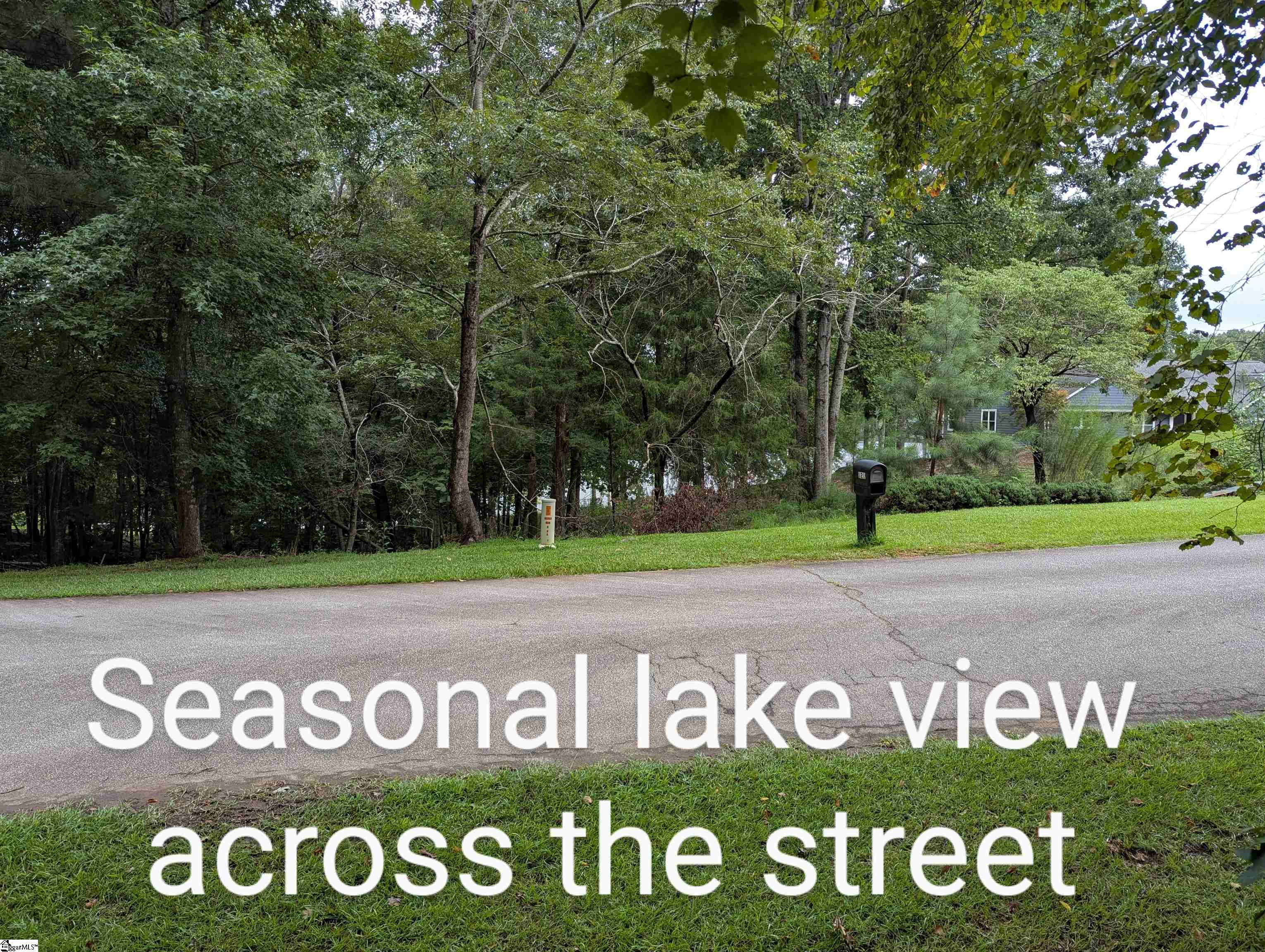 00 E Peninsula Drive UNIT Lot 134 Laurens, SC 29360