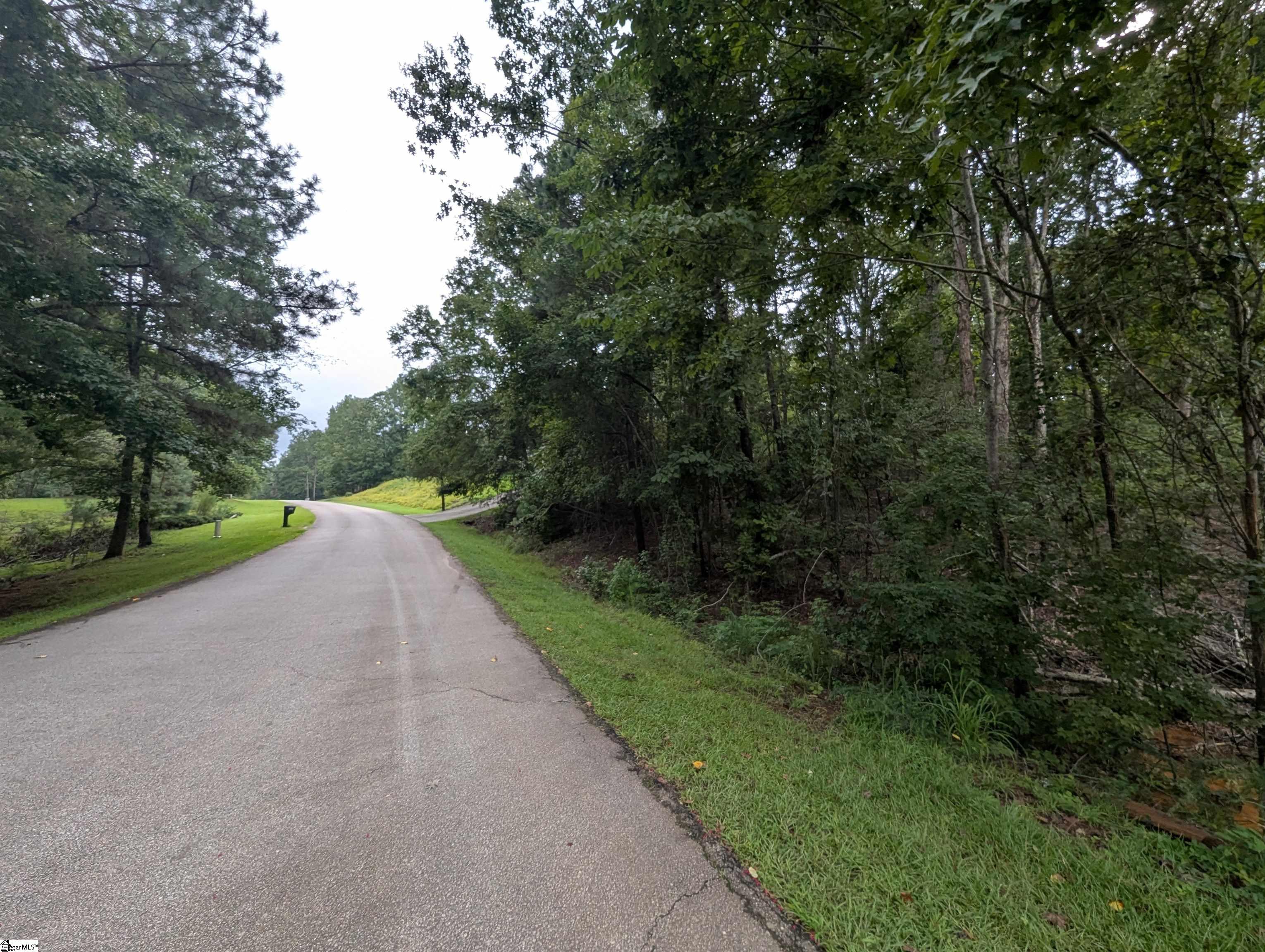00 E Peninsula Drive UNIT Lot 134 Laurens, SC 29360