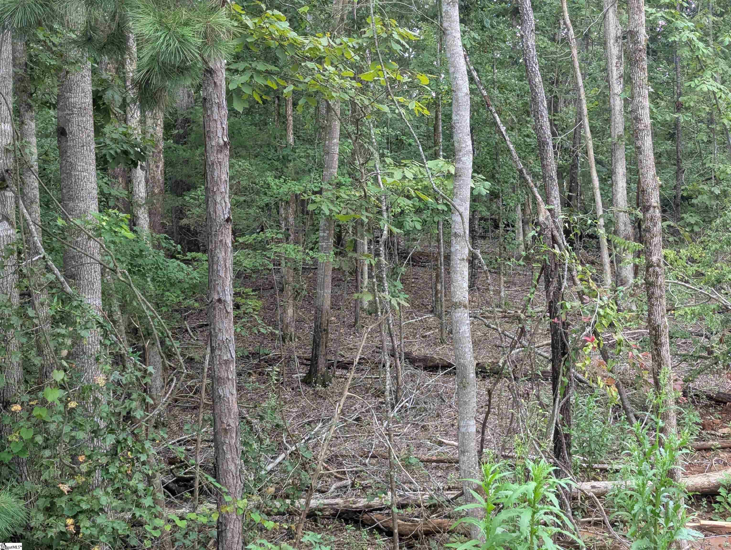 00 E Peninsula Drive UNIT Lot 134 Laurens, SC 29360