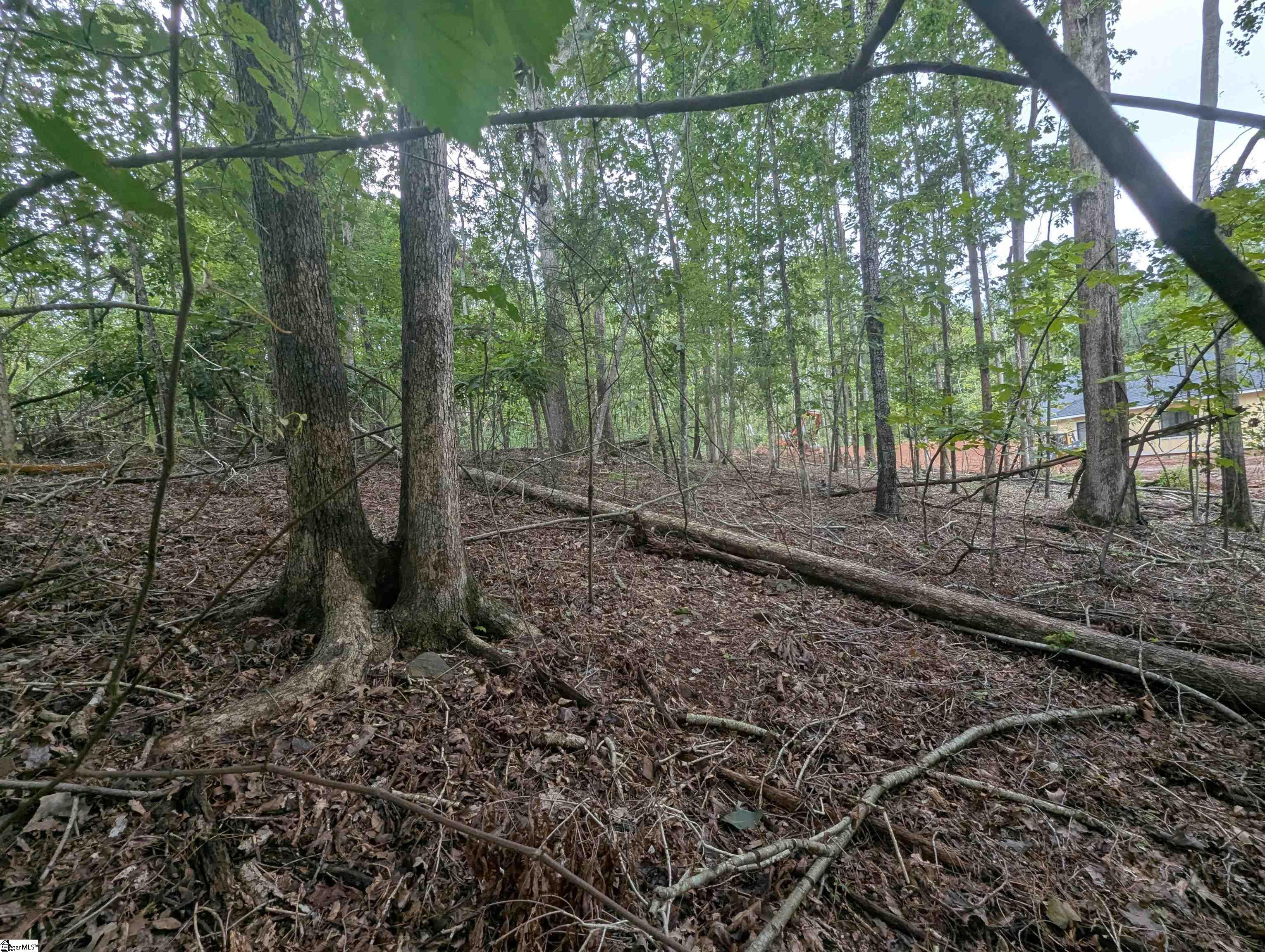 00 E Peninsula Drive UNIT Lot 134 Laurens, SC 29360