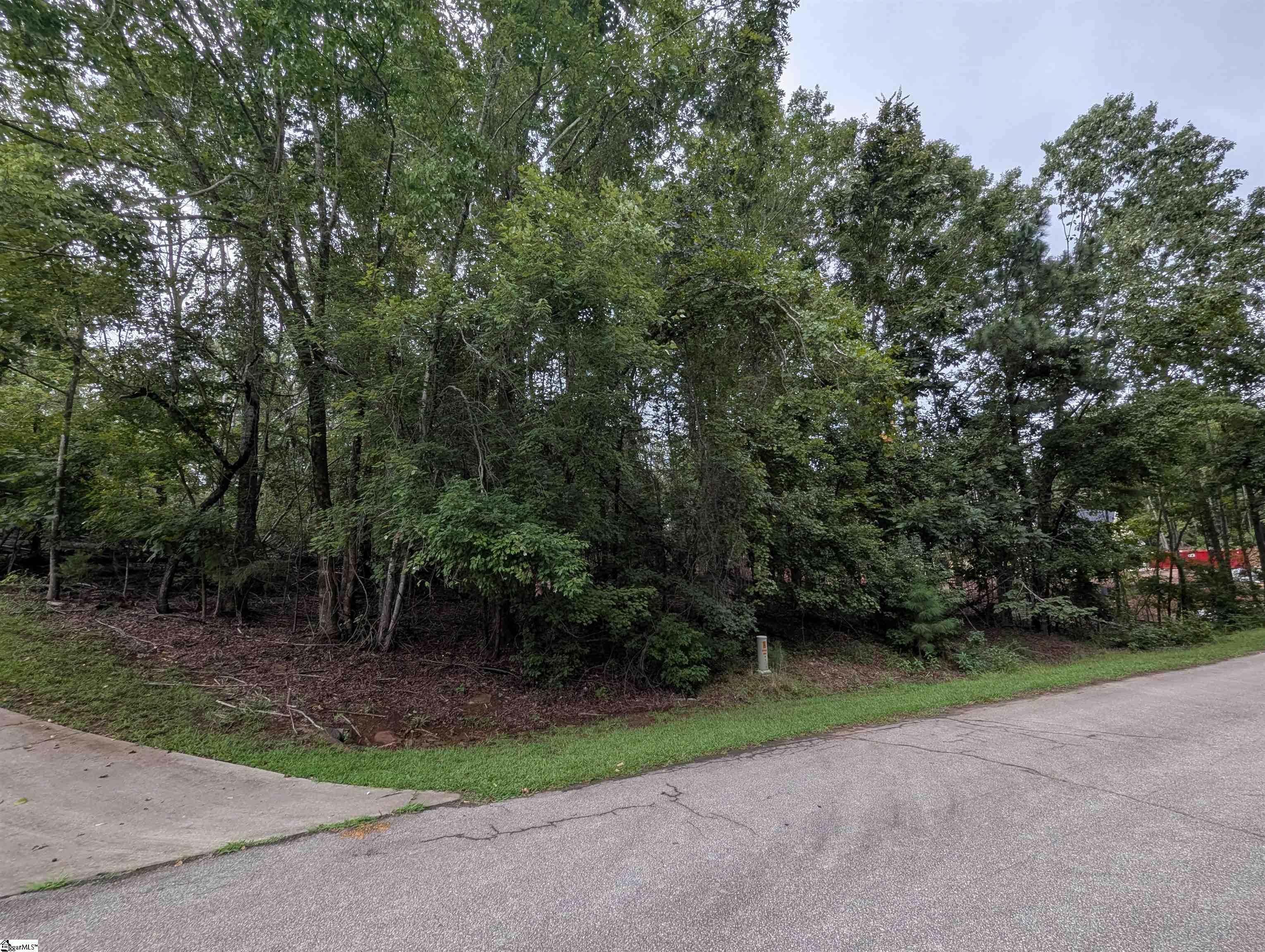 00 E Peninsula Drive UNIT Lot 134 Laurens, SC 29360