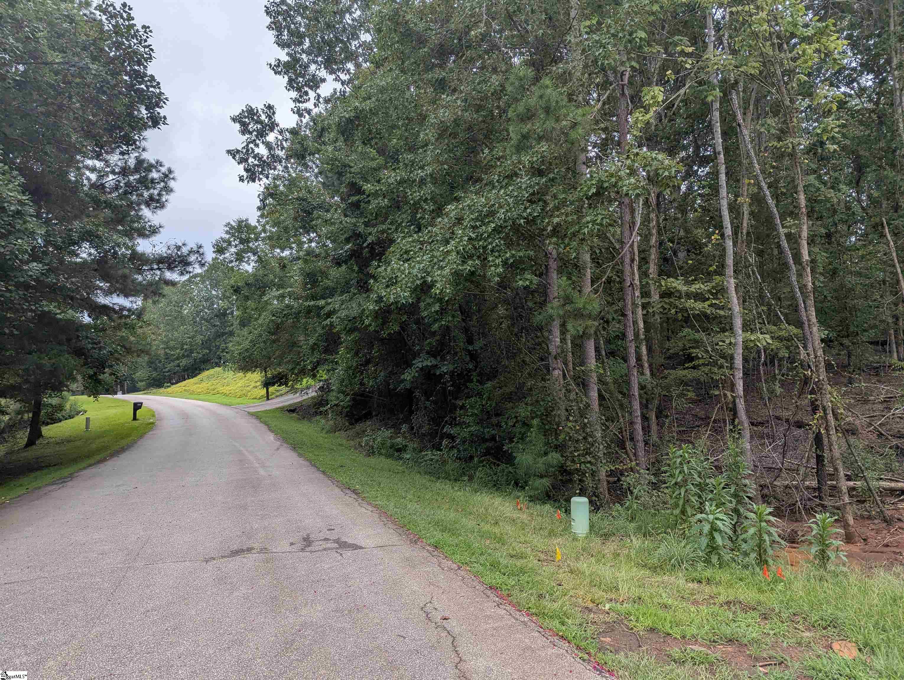 00 E Peninsula Drive UNIT Lot 134 Laurens, SC 29360