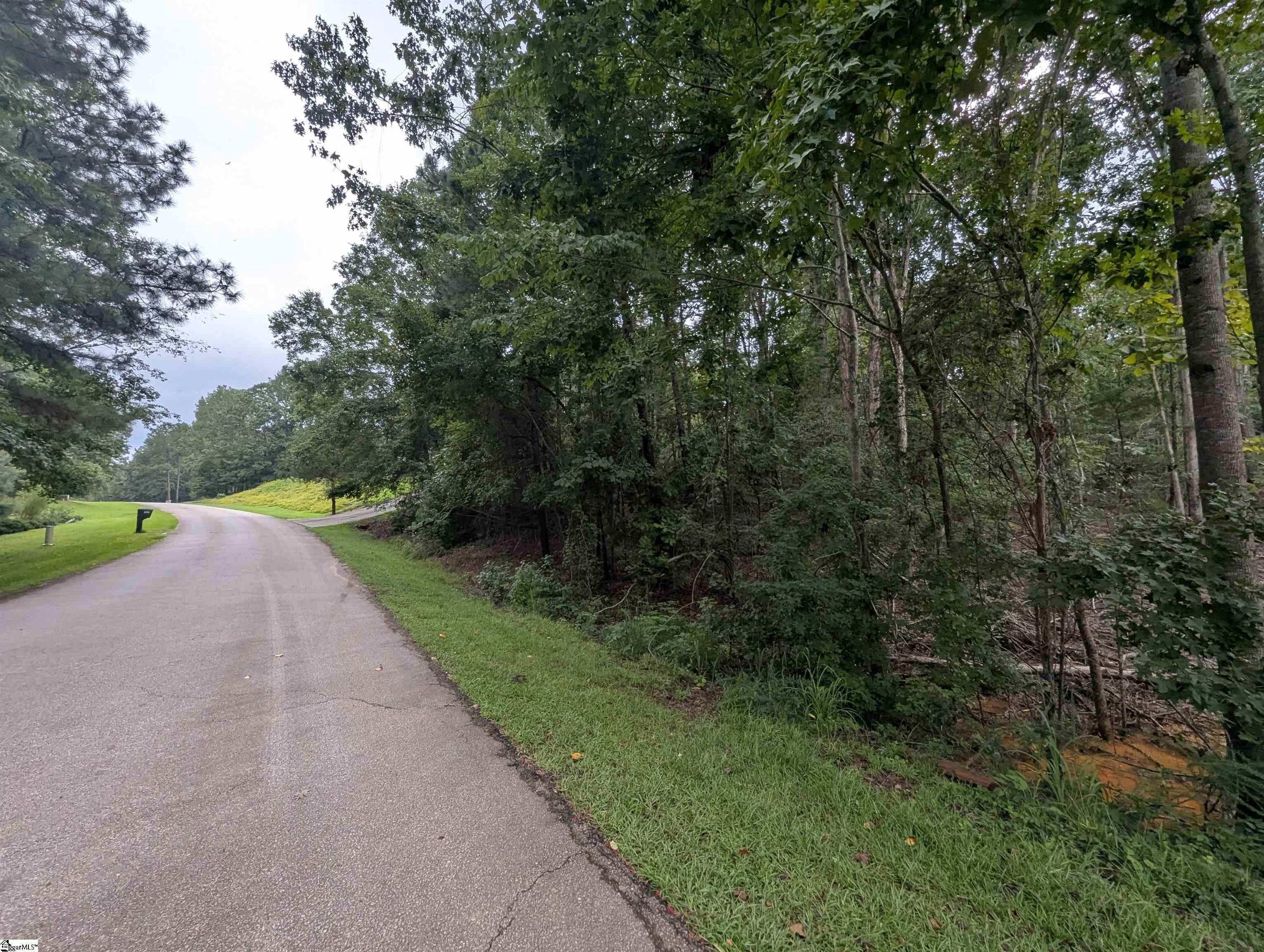00 E Peninsula Drive UNIT Lot 134 Laurens, SC 29360