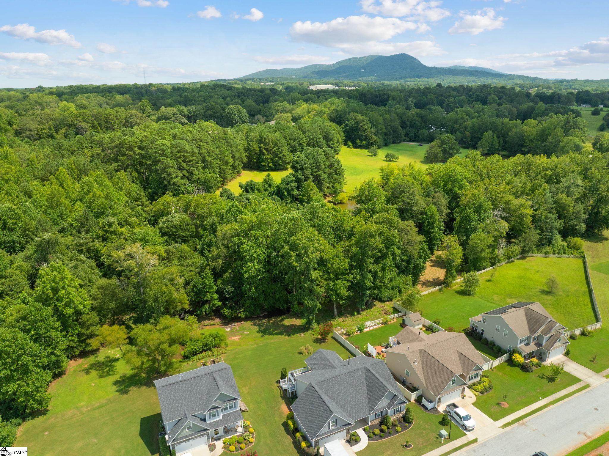 48 Macle Court Travelers Rest, SC 29690