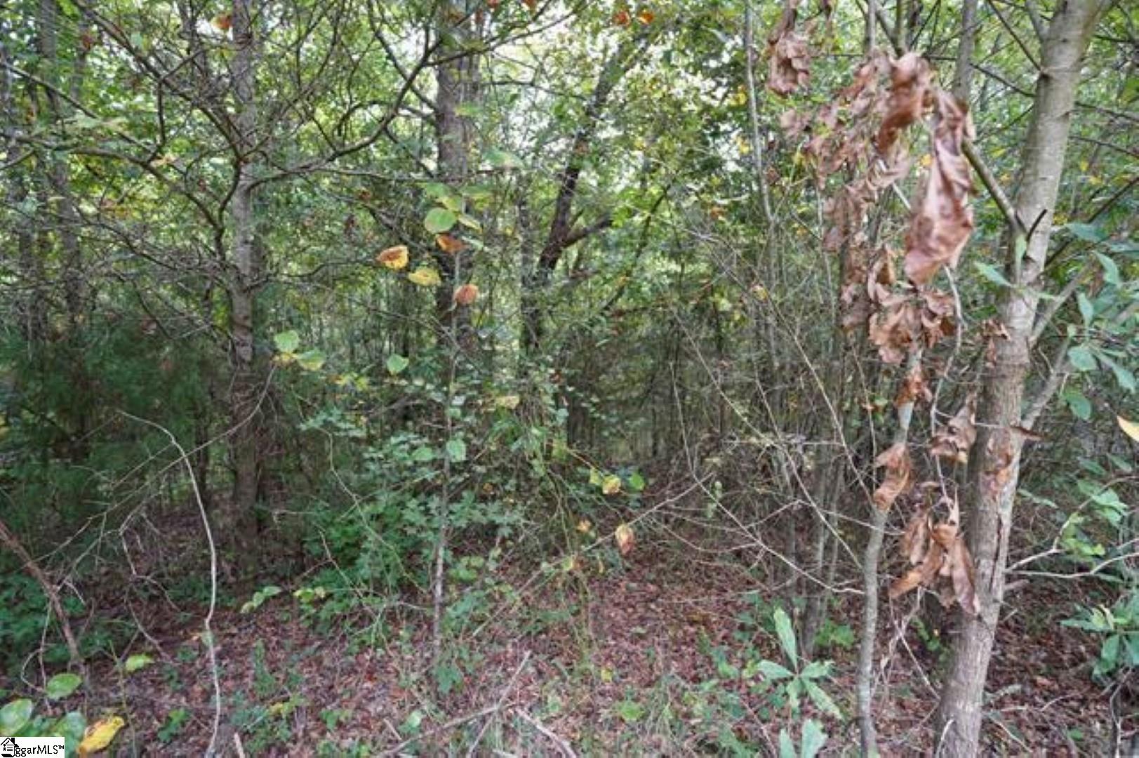 3961 Forrester Road Greer, SC 29651