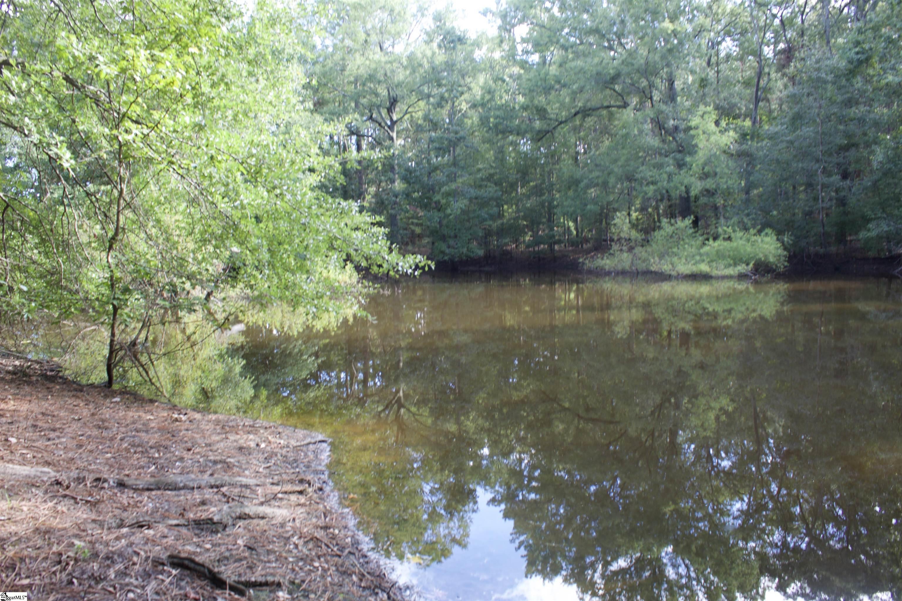 00 Hwy 101 South Gray Court, SC 29645-0000