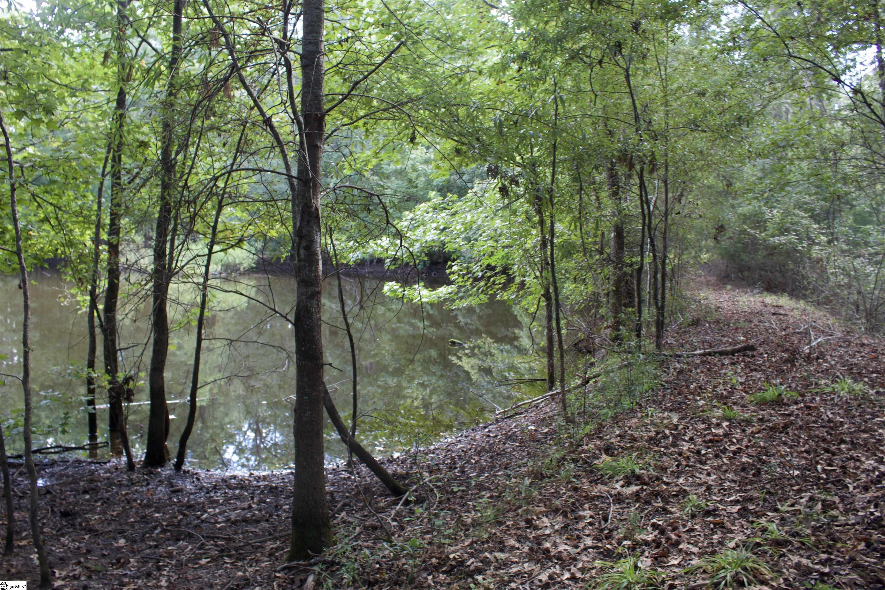 00 Hwy 101 South Gray Court, SC 29645-0000