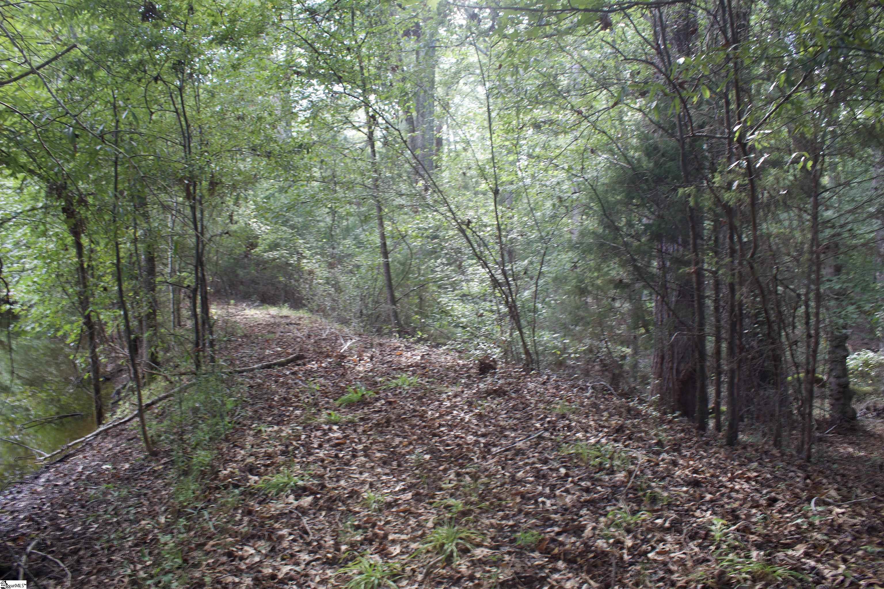 00 Hwy 101 South Gray Court, SC 29645-0000