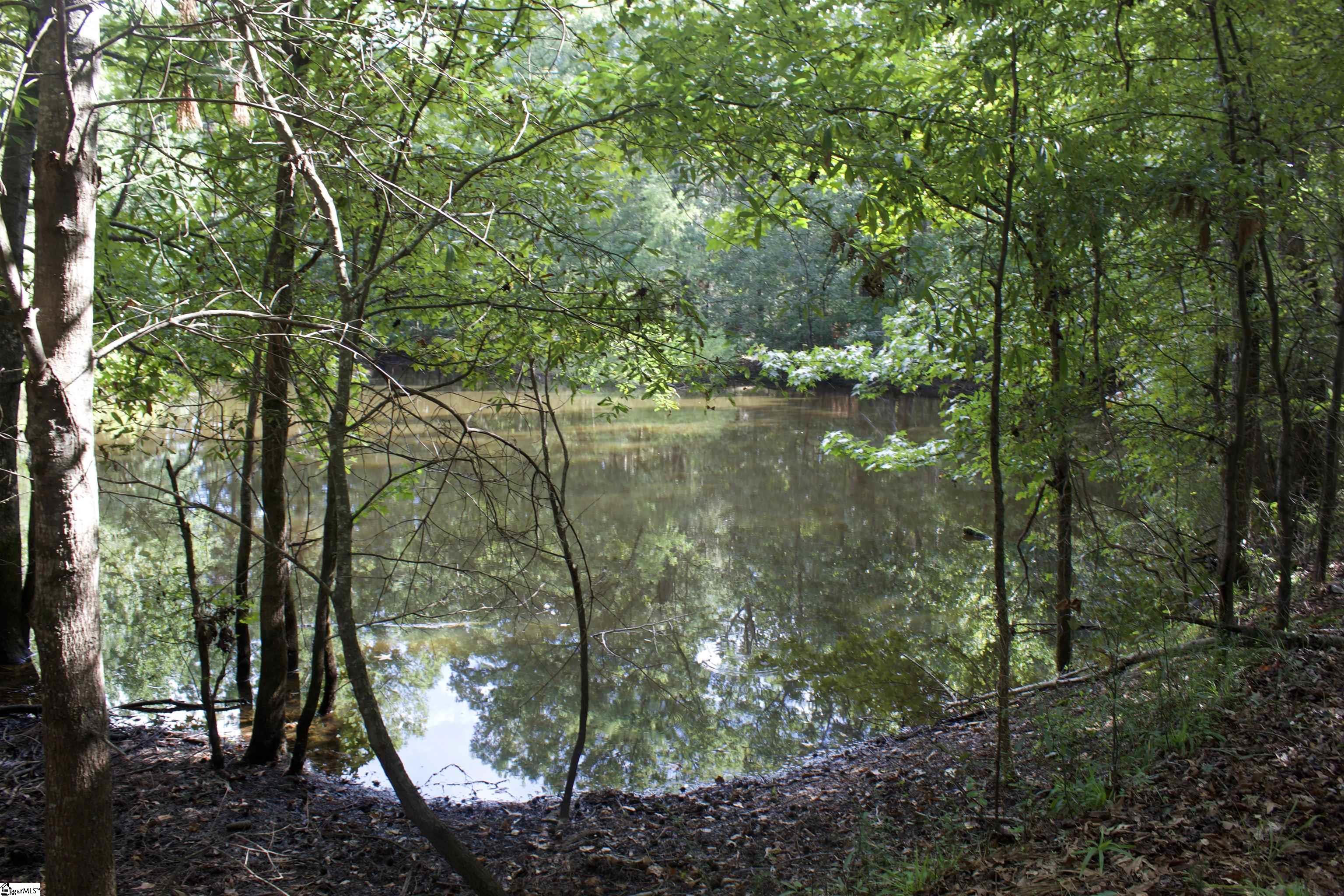 00 Hwy 101 South Gray Court, SC 29645-0000