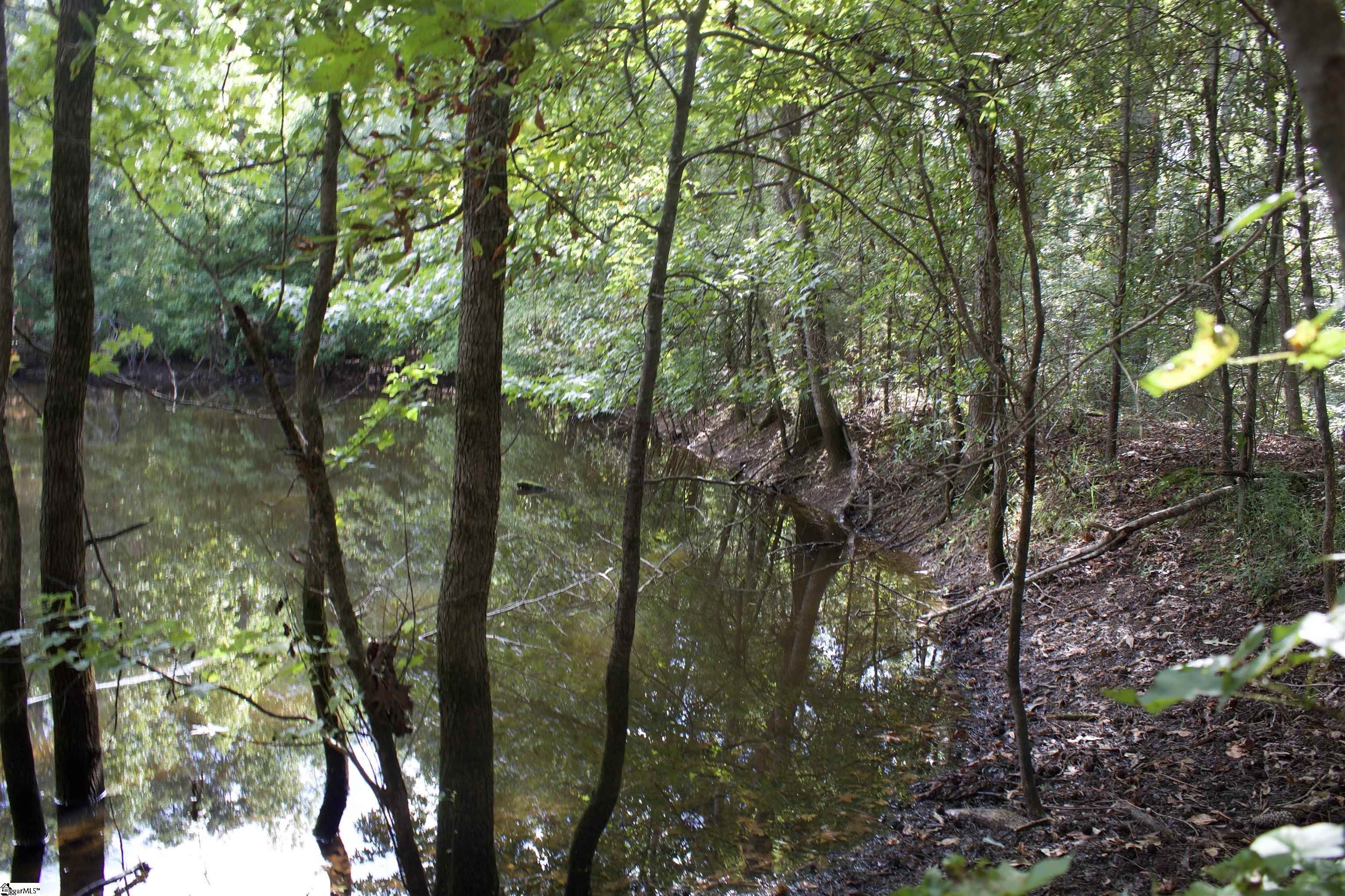 00 Hwy 101 South Gray Court, SC 29645-0000