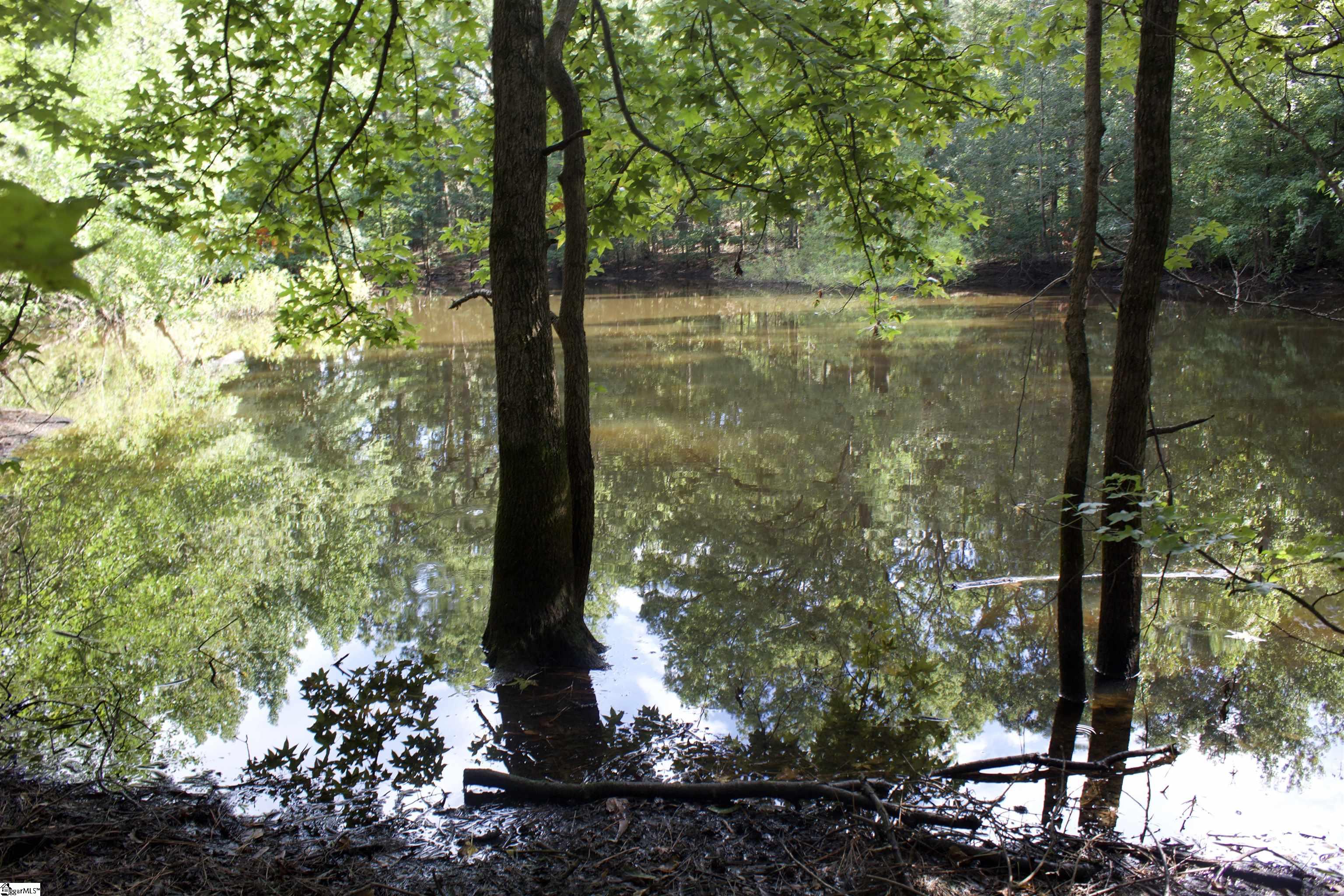 00 Hwy 101 South Gray Court, SC 29645-0000