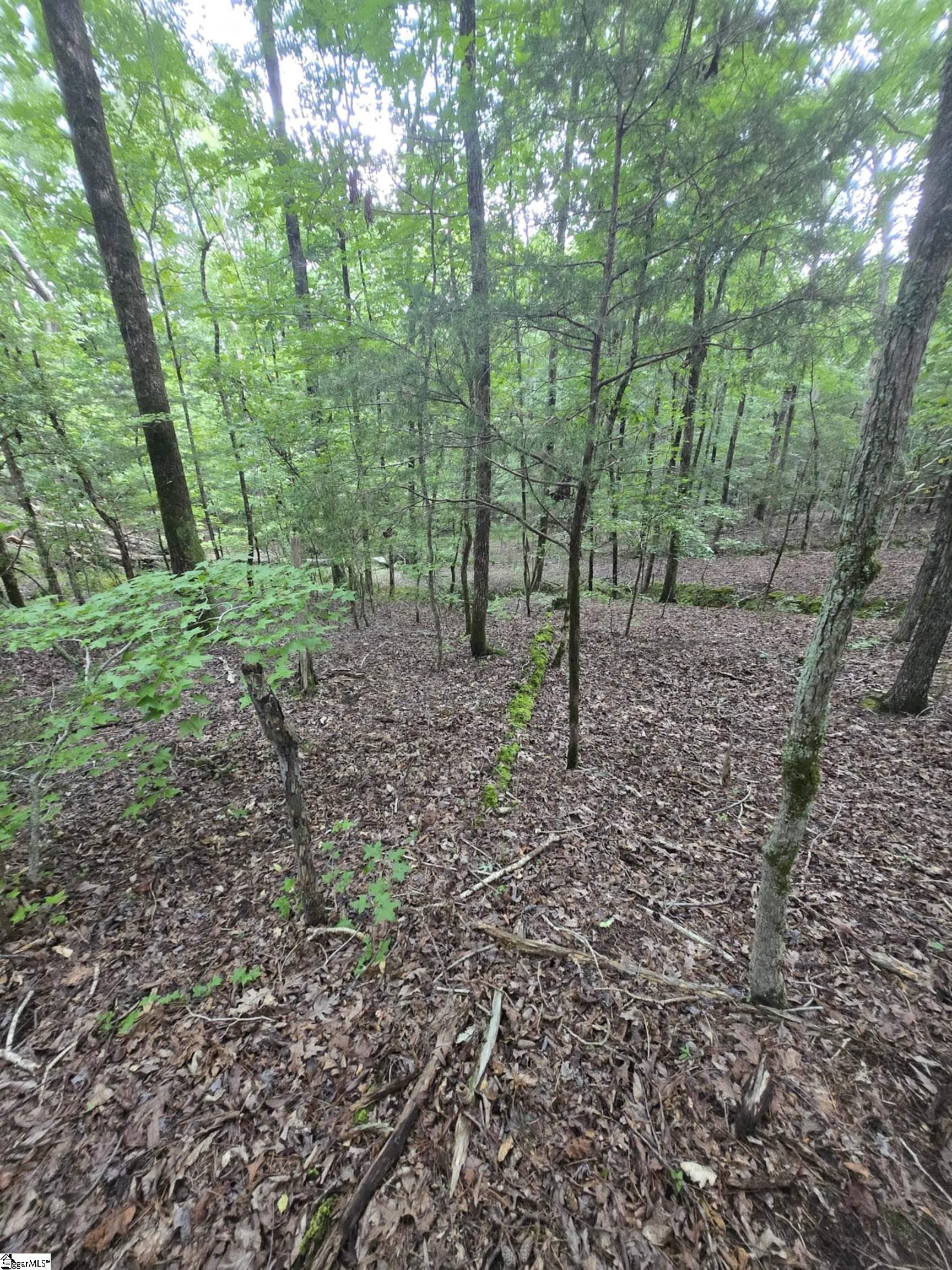 Lot 24A Dockside Drive Iva, SC 29655
