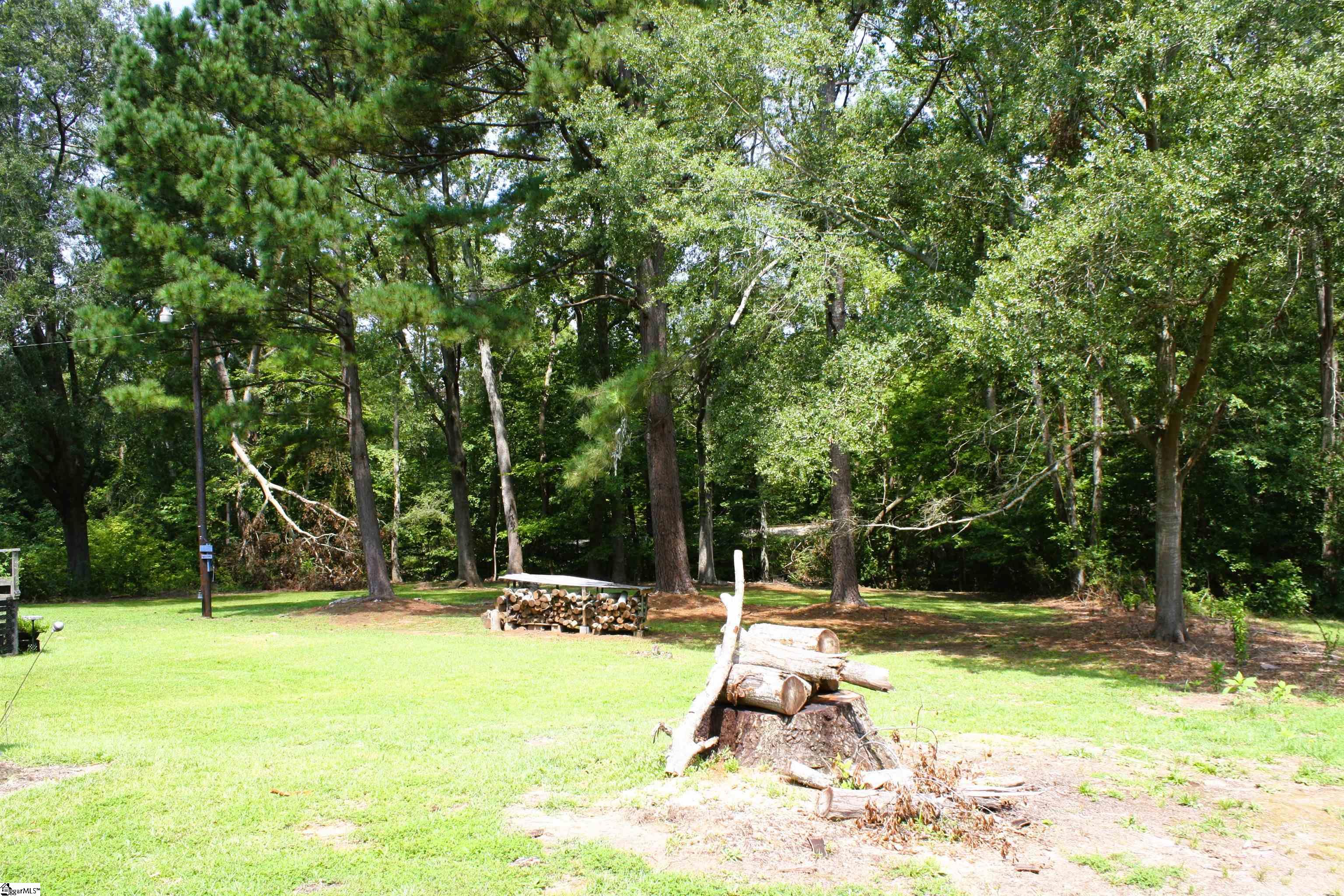 206 Clemson Street Laurens, SC 29360