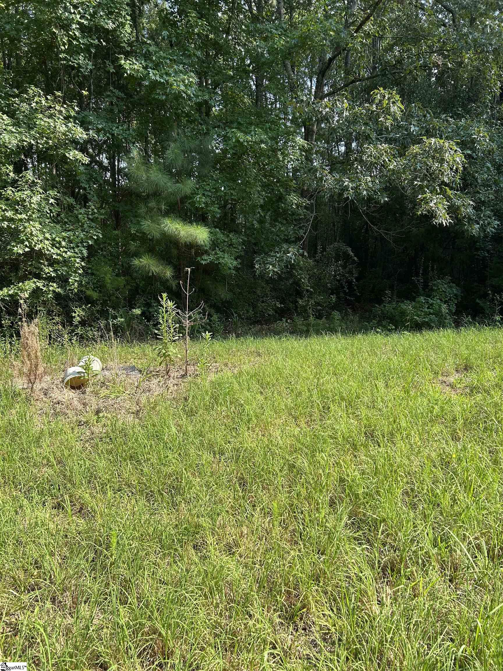 Anderson Drive Laurens, SC 29360