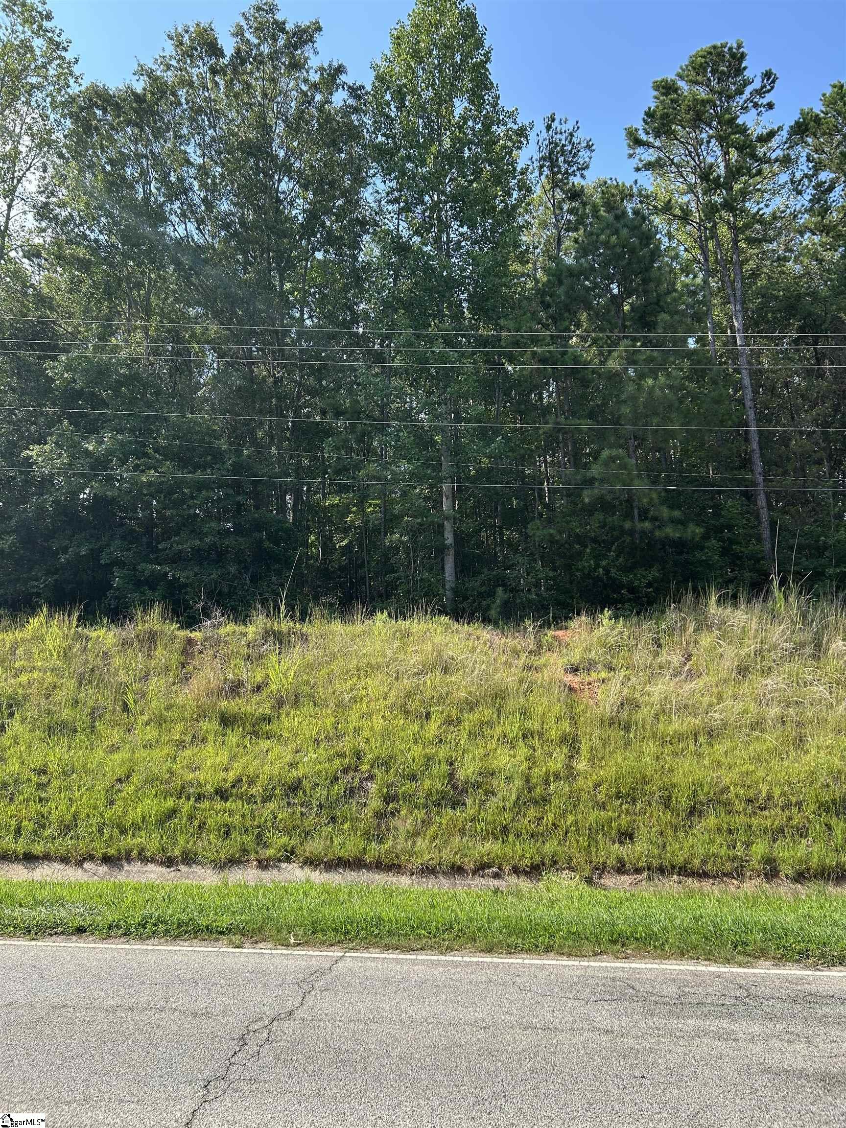 Anderson Drive Laurens, SC 29360