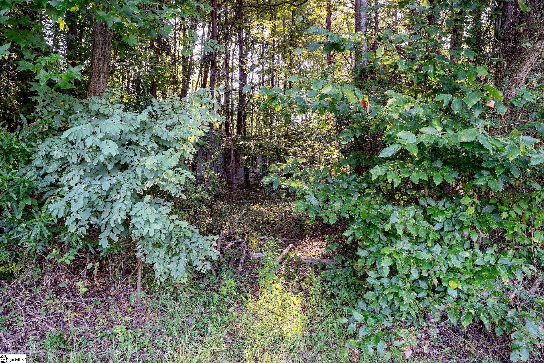 00 Bowen Hill Drive Pelzer, SC 29669