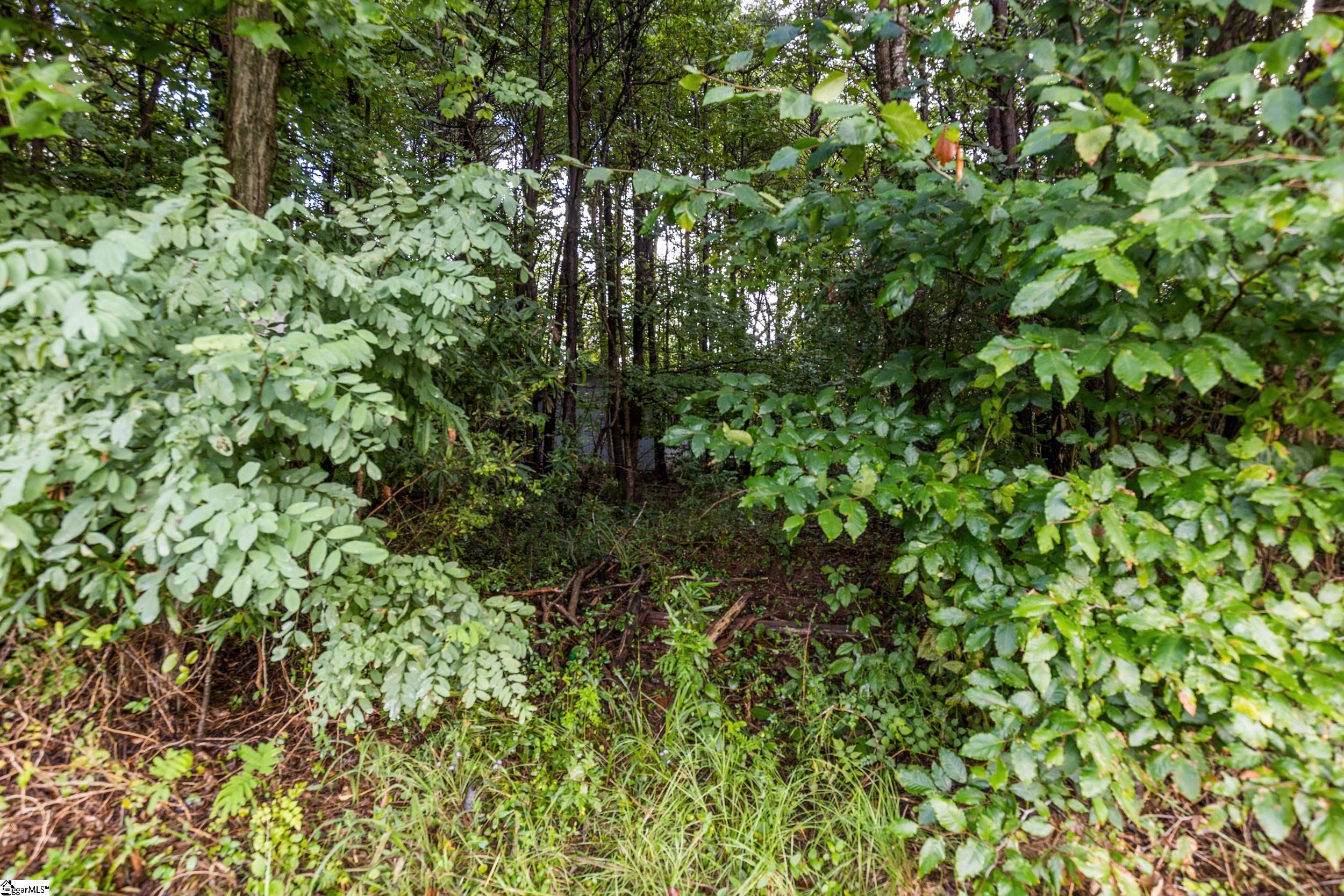 00 Bowen Hill Drive Pelzer, SC 29669