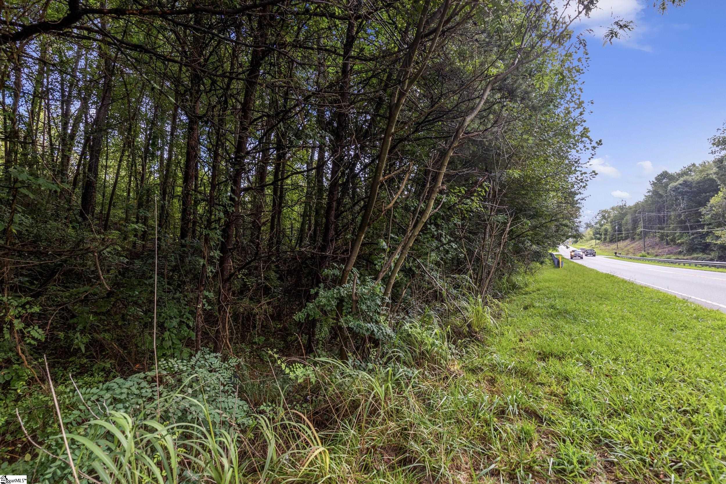 00 Bowen Hill Drive Pelzer, SC 29669
