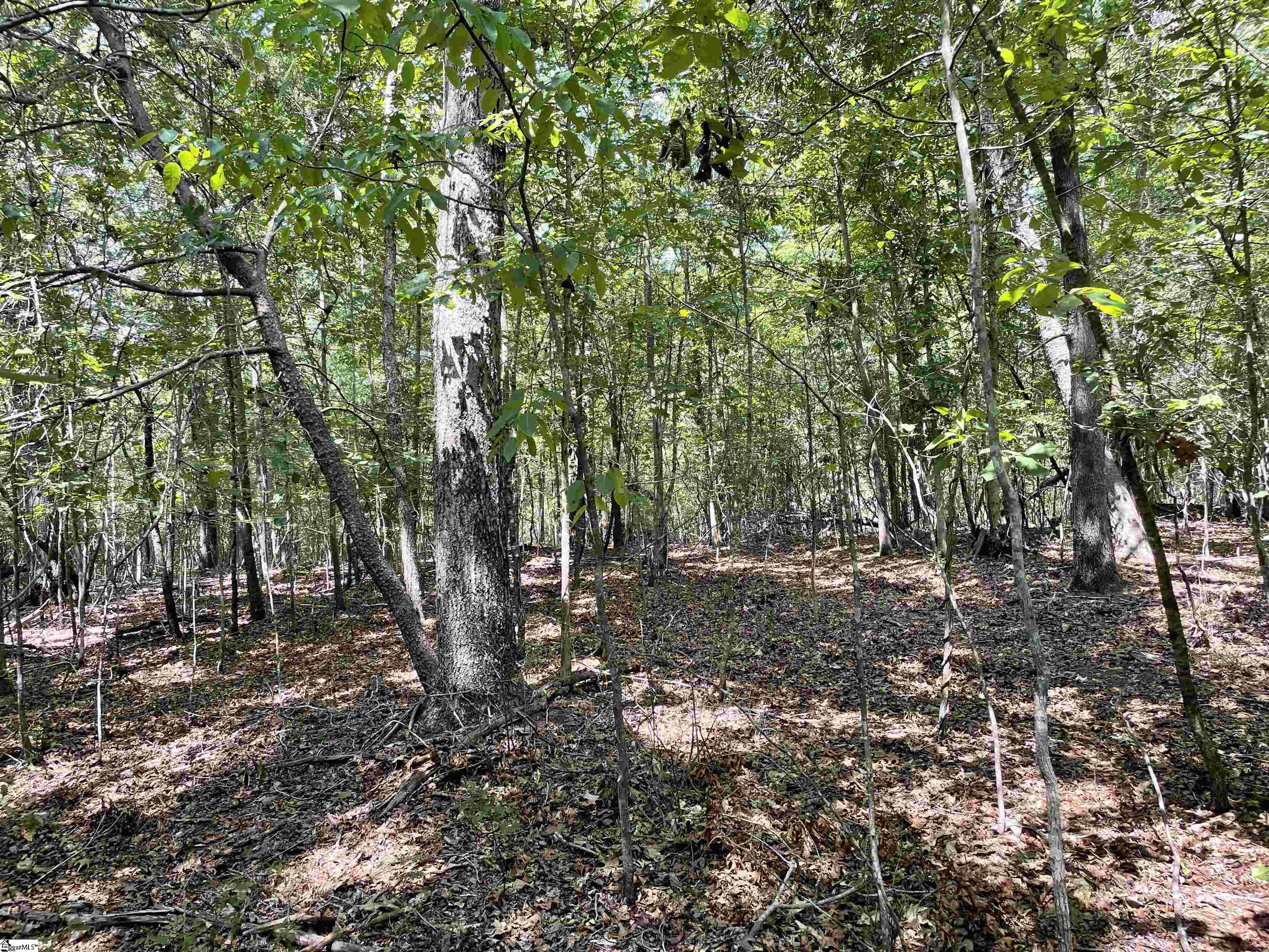 00 River Road Piedmont, SC 29673