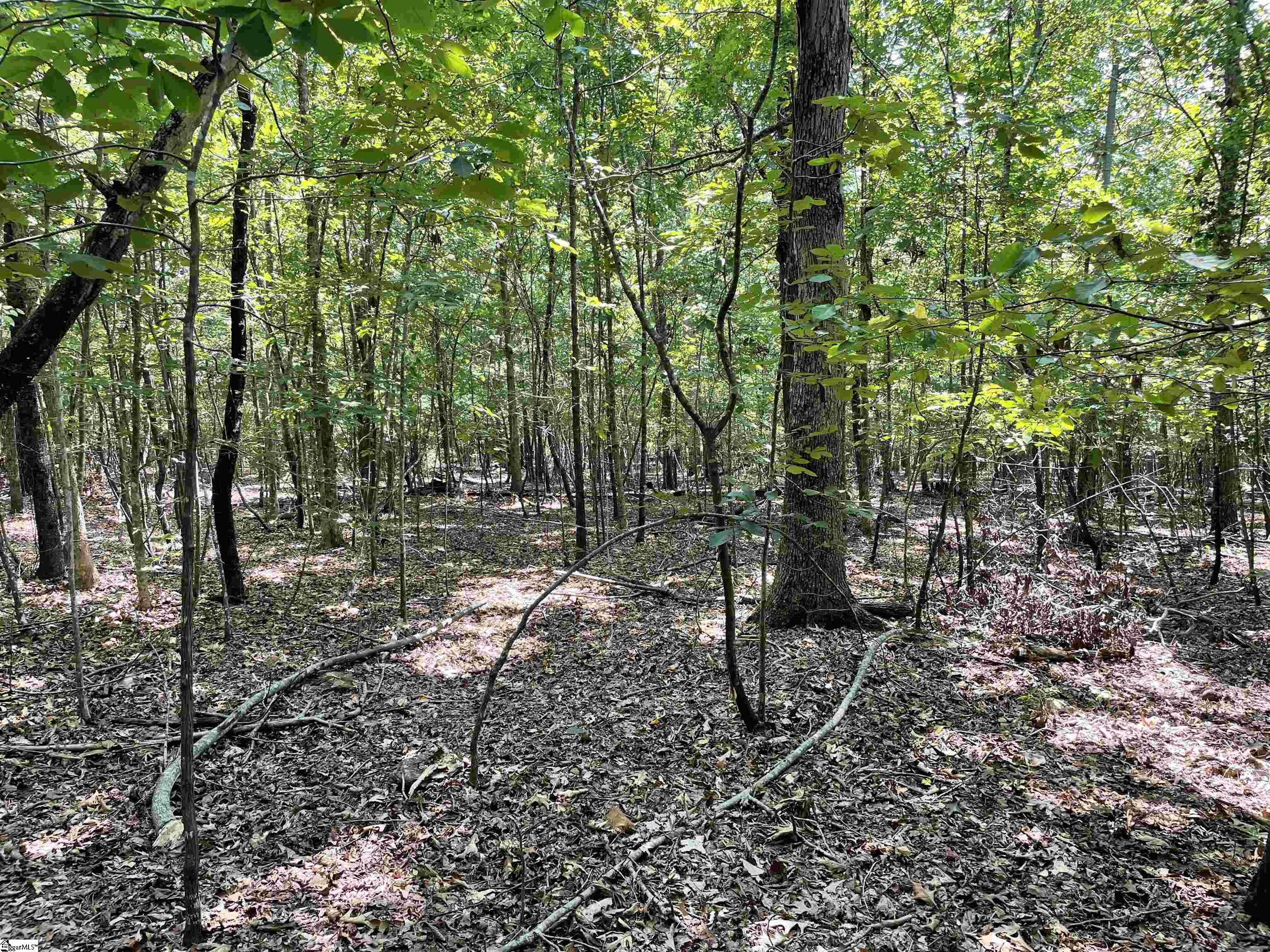00 River Road Piedmont, SC 29673