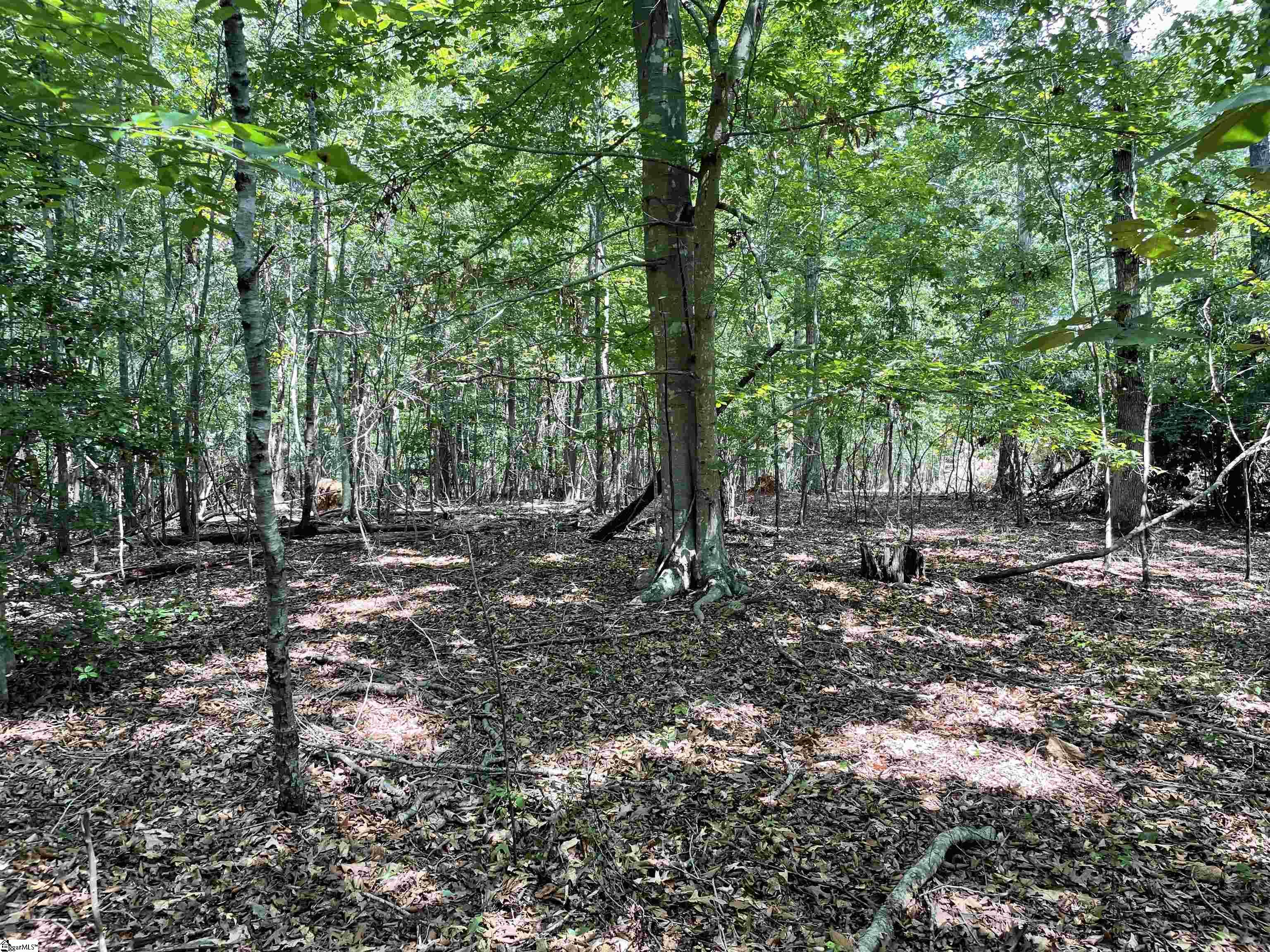 00 River Road Piedmont, SC 29673