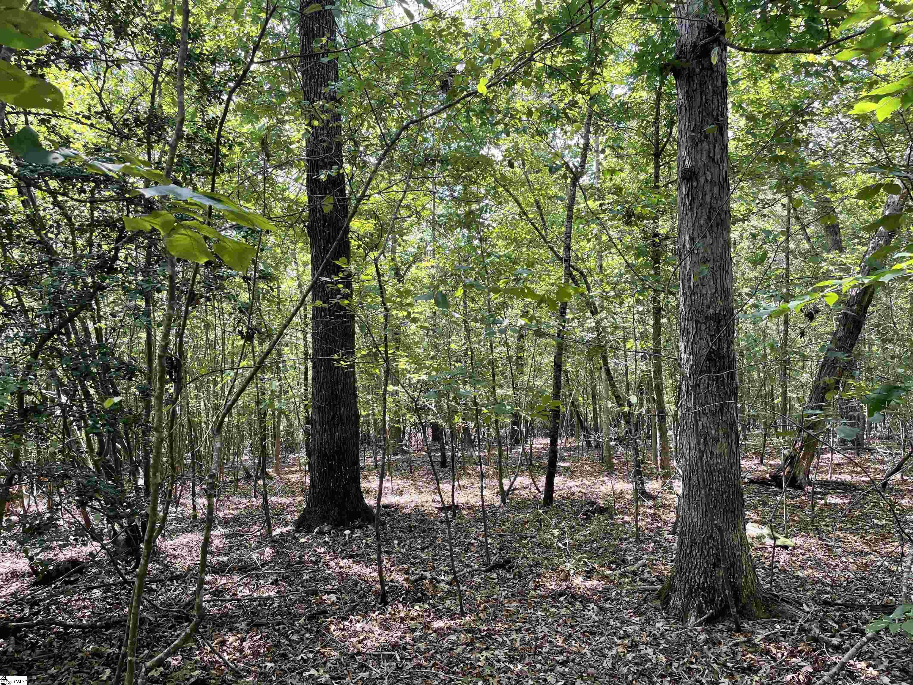 00 River Road Piedmont, SC 29673