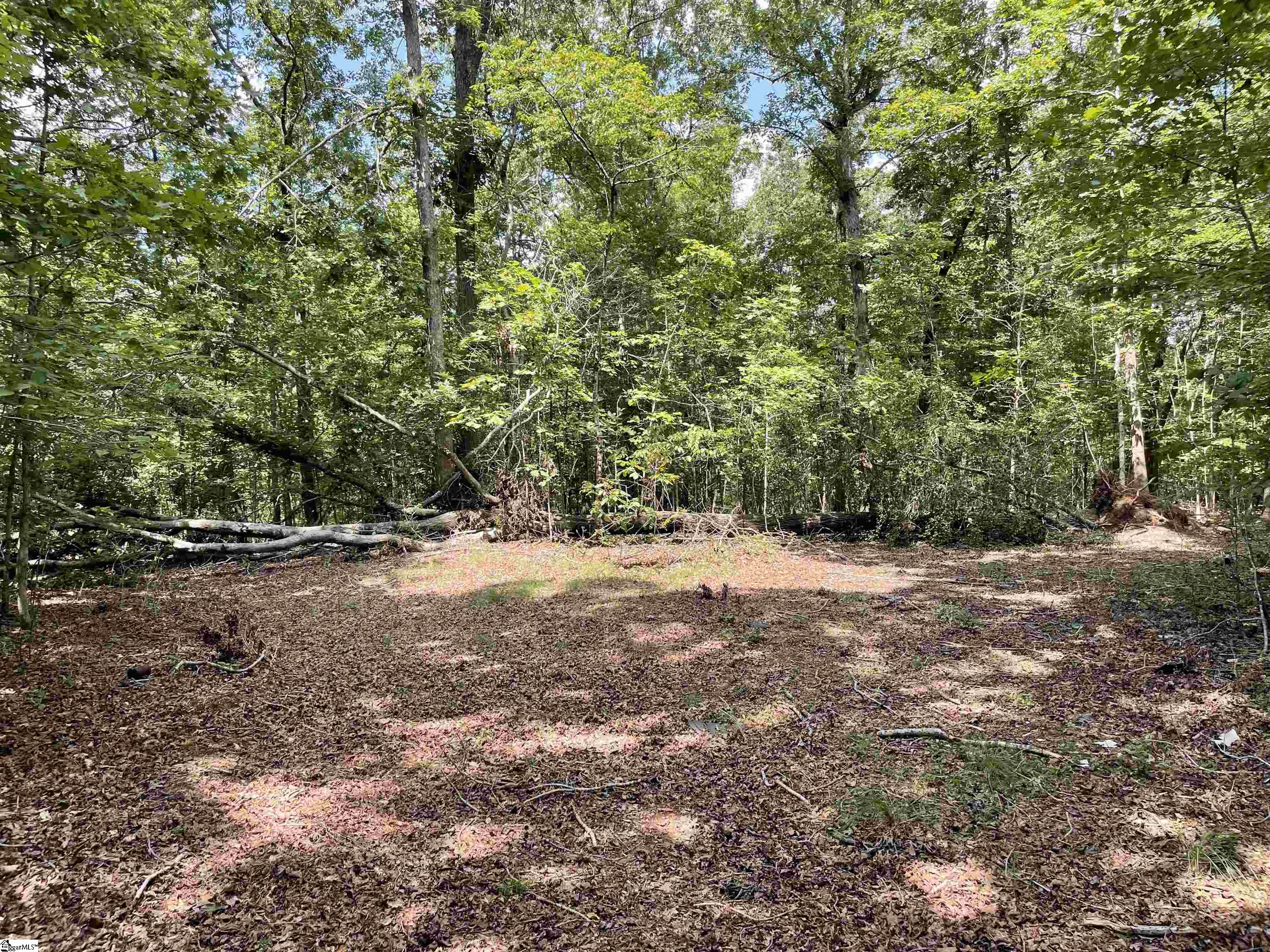 00 River Road Piedmont, SC 29673