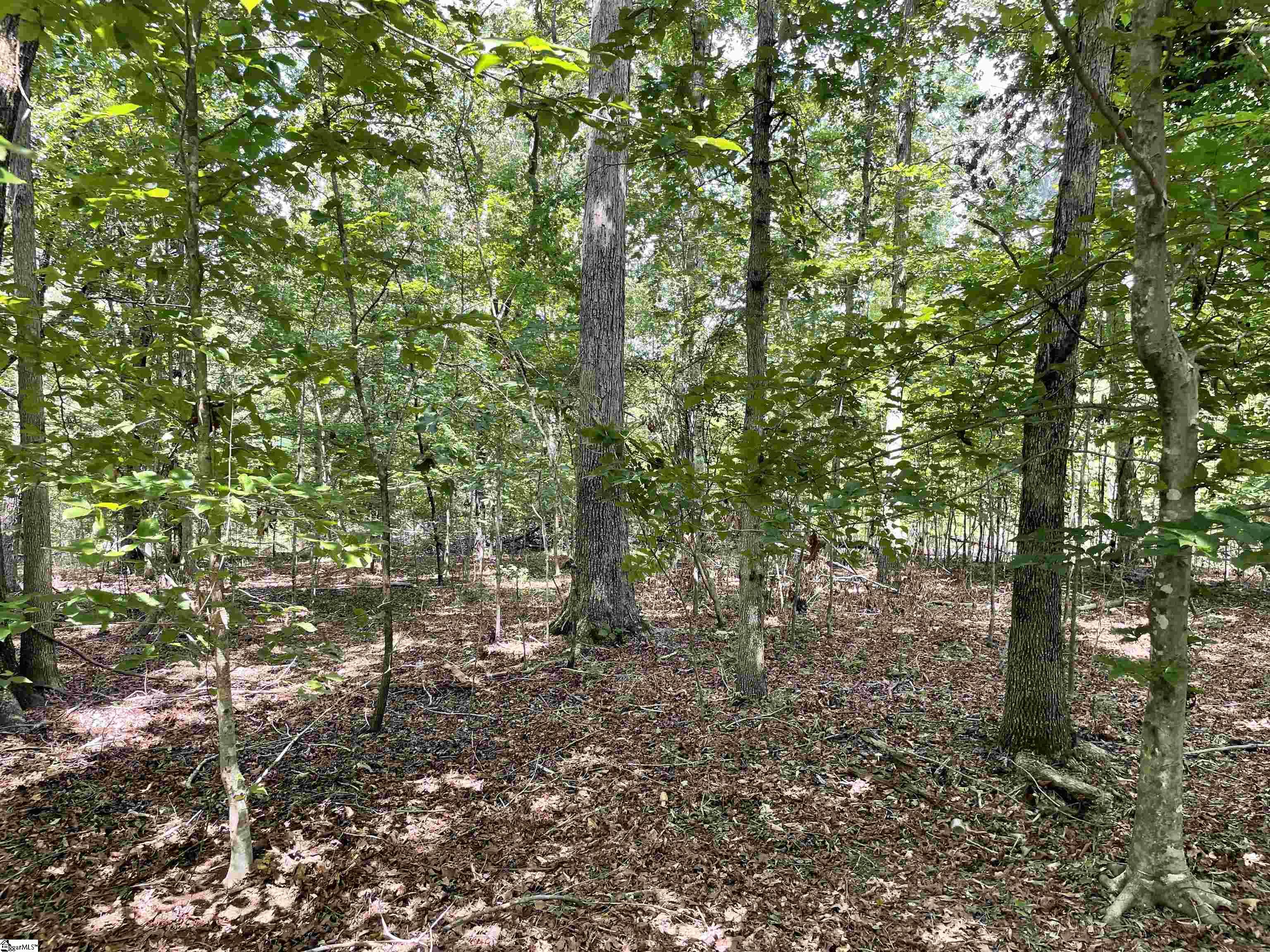 00 River Road Piedmont, SC 29673