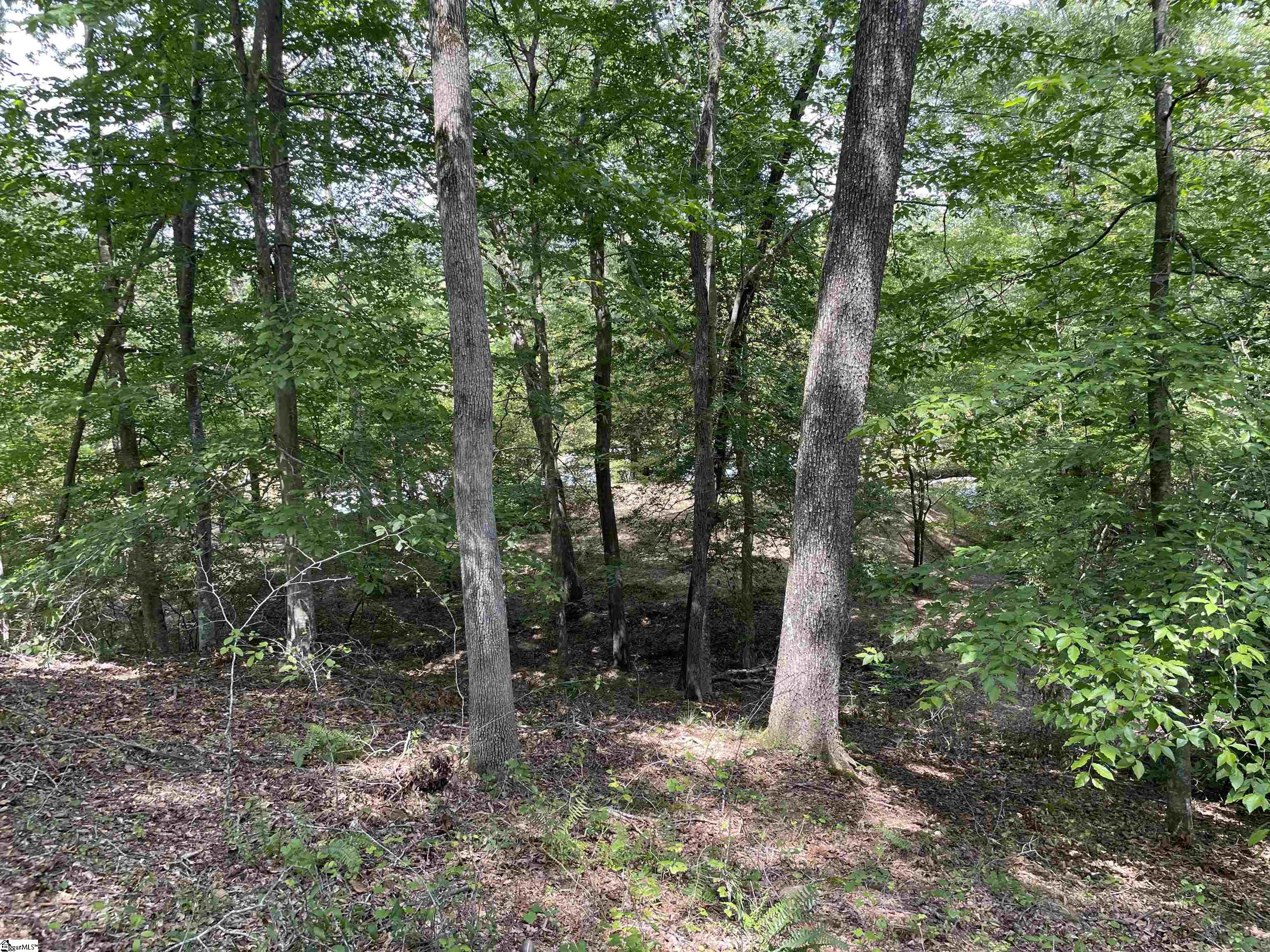 00 River Road Piedmont, SC 29673