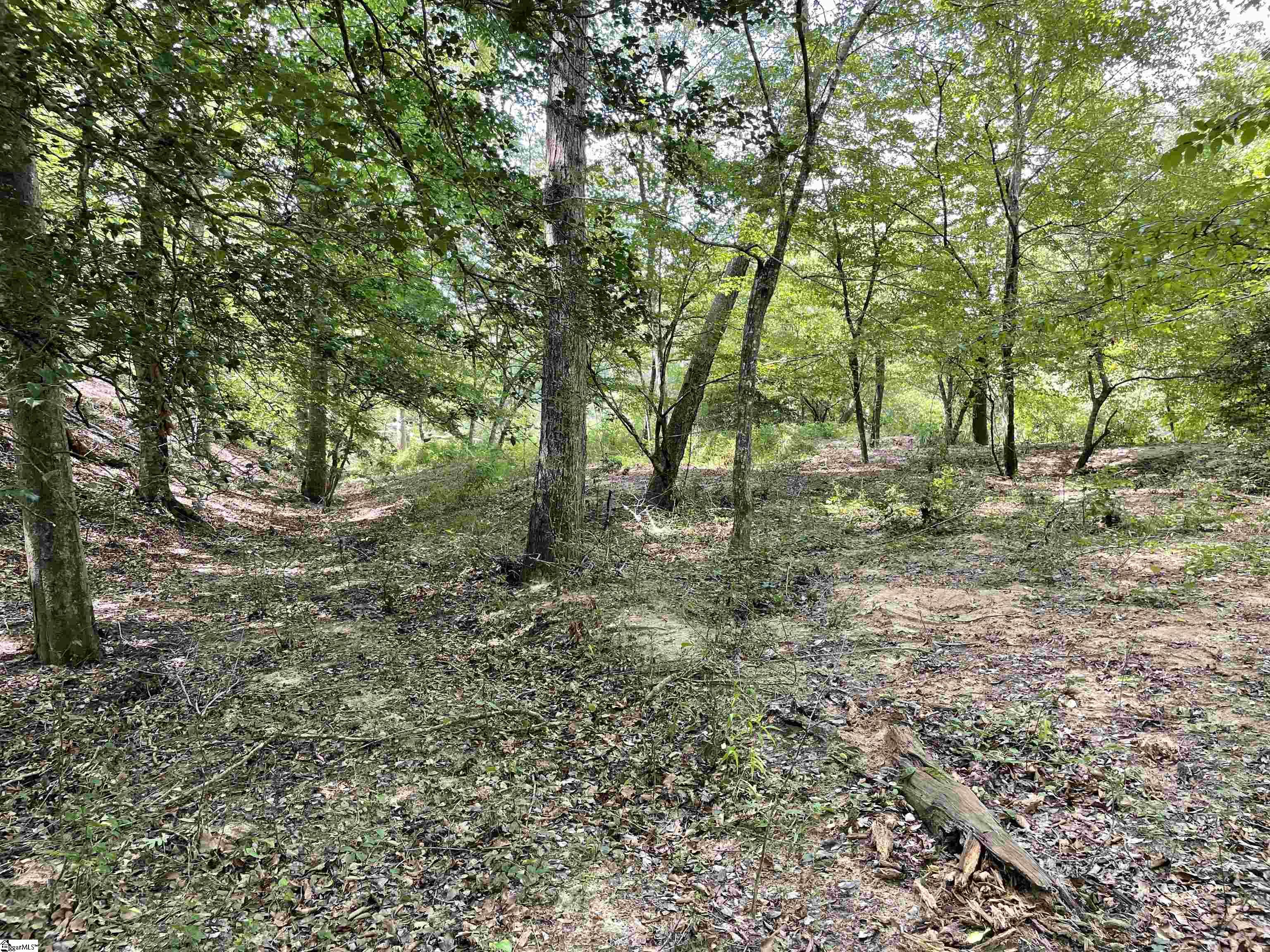 00 River Road Piedmont, SC 29673