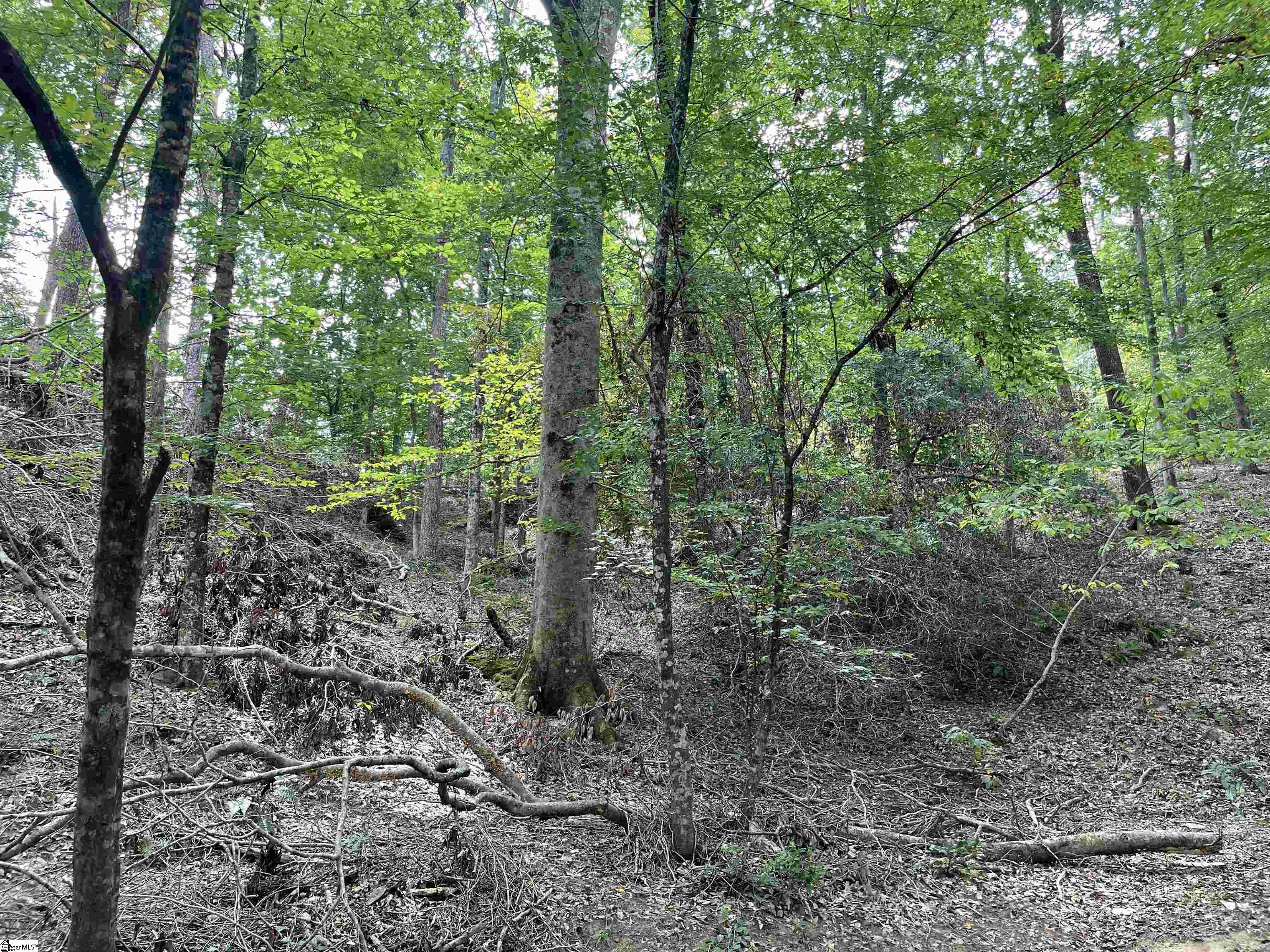 00 River Road Piedmont, SC 29673