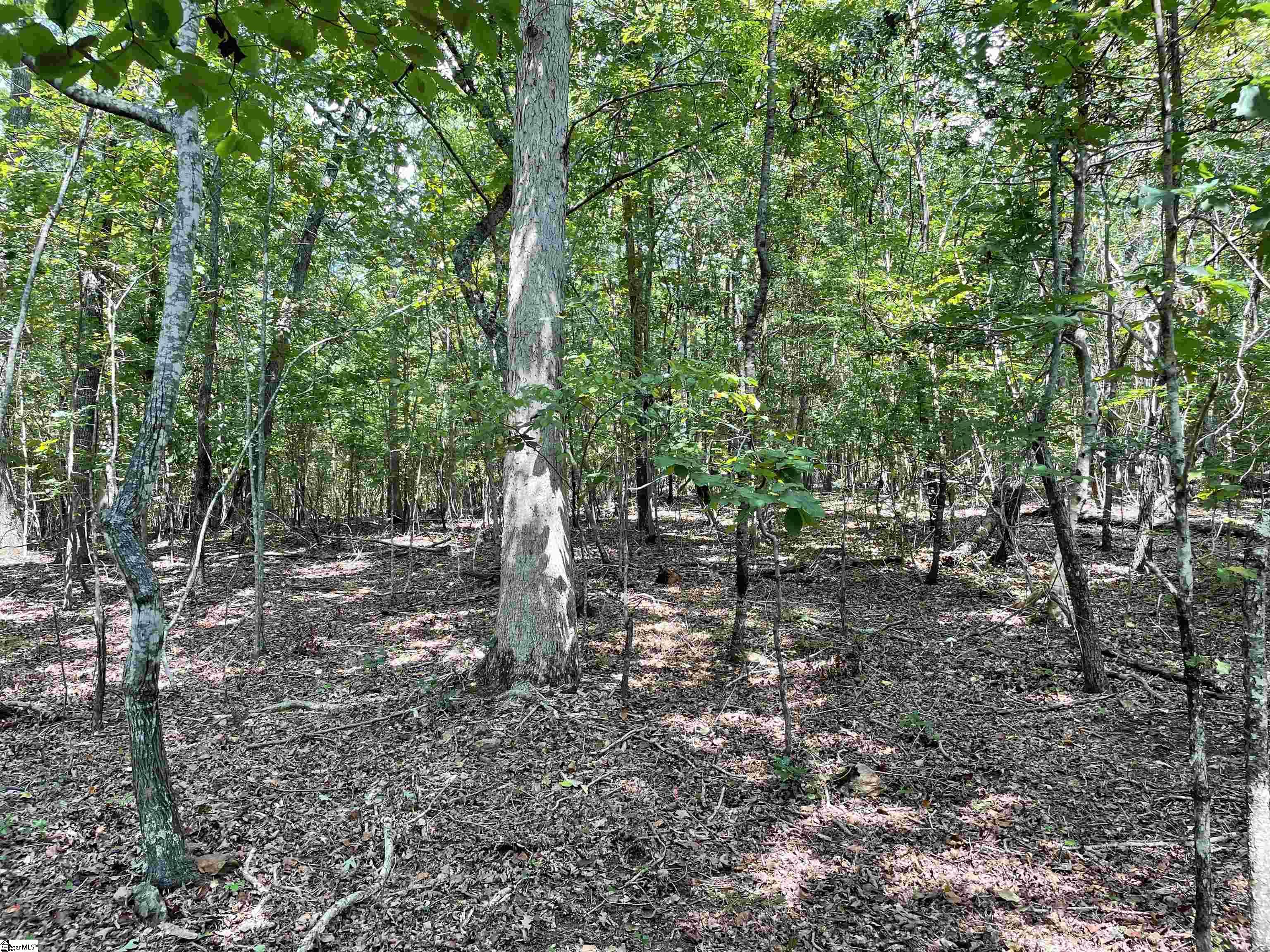 00 River Road Piedmont, SC 29673
