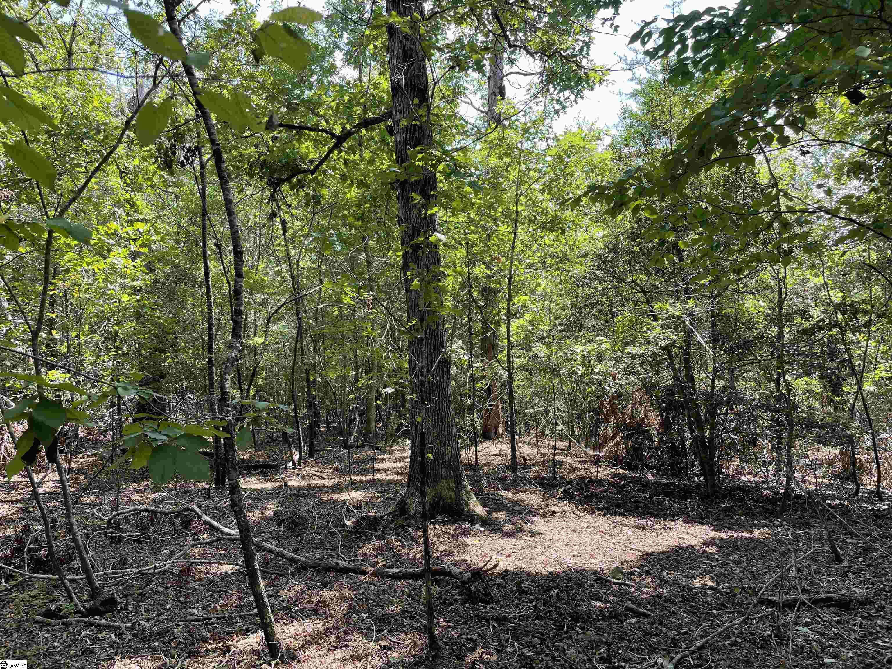 00 River Road Piedmont, SC 29673