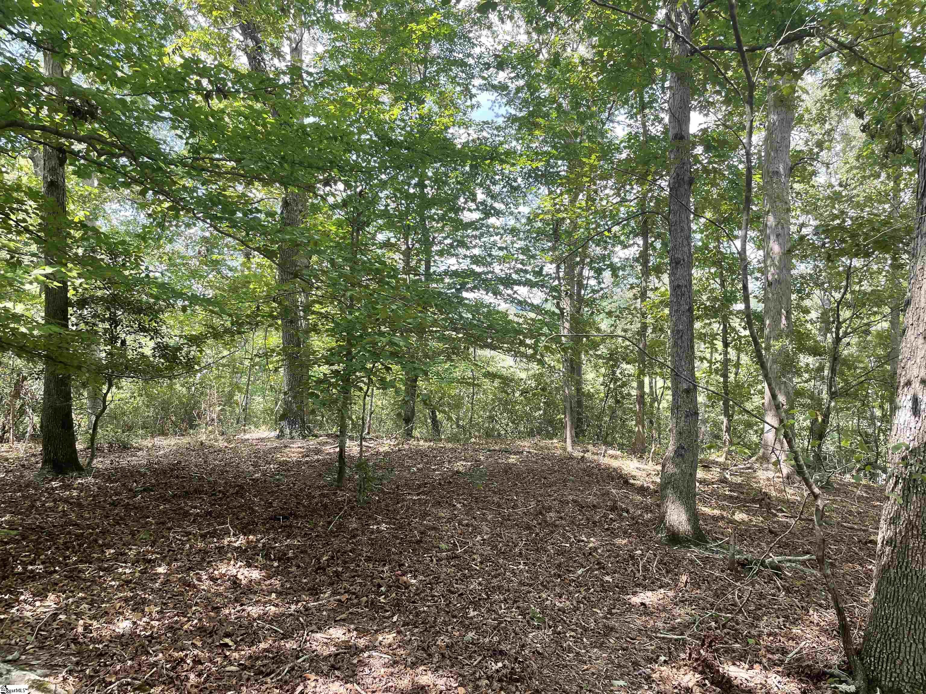 00 River Road Piedmont, SC 29673