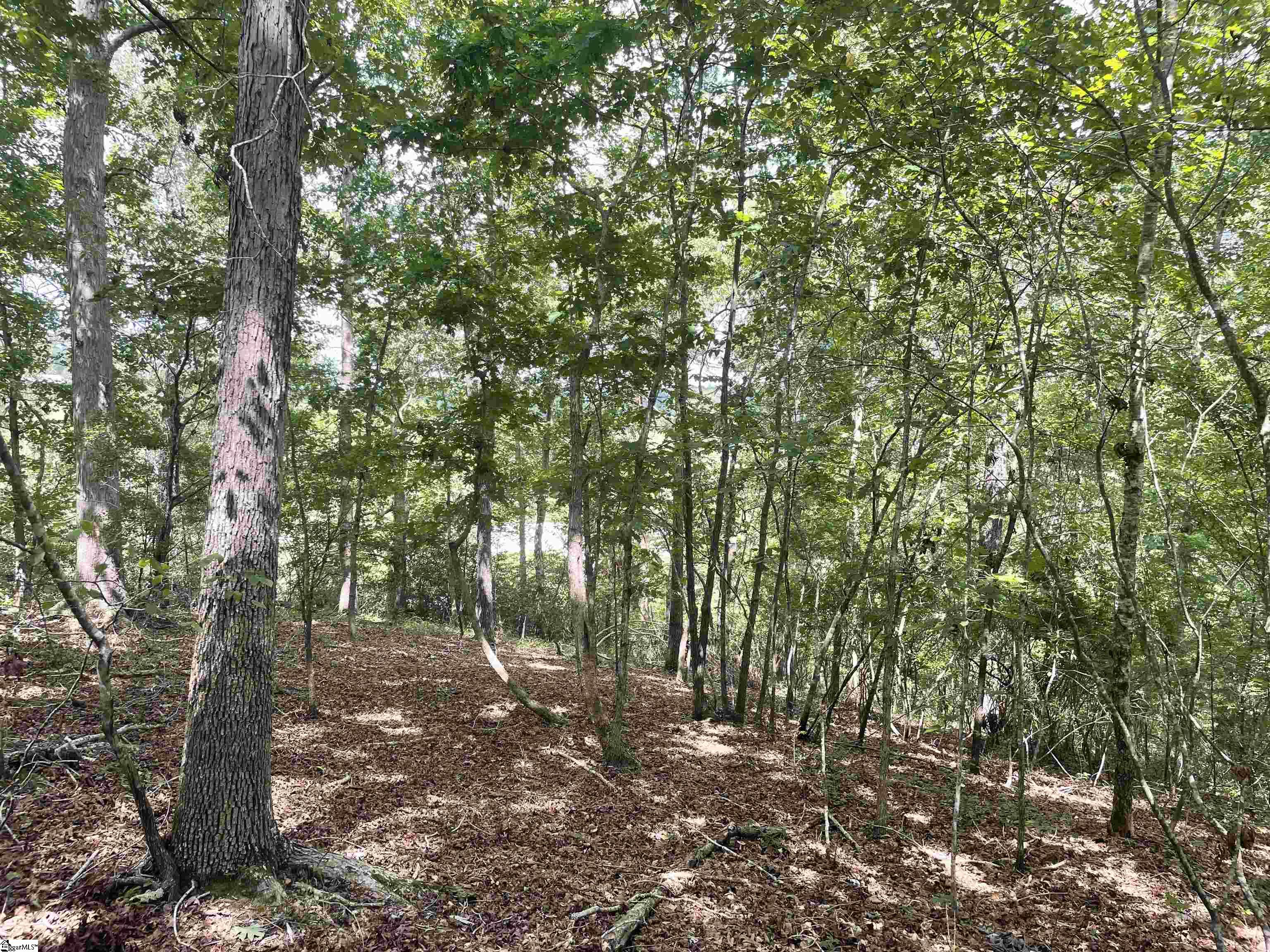 00 River Road Piedmont, SC 29673