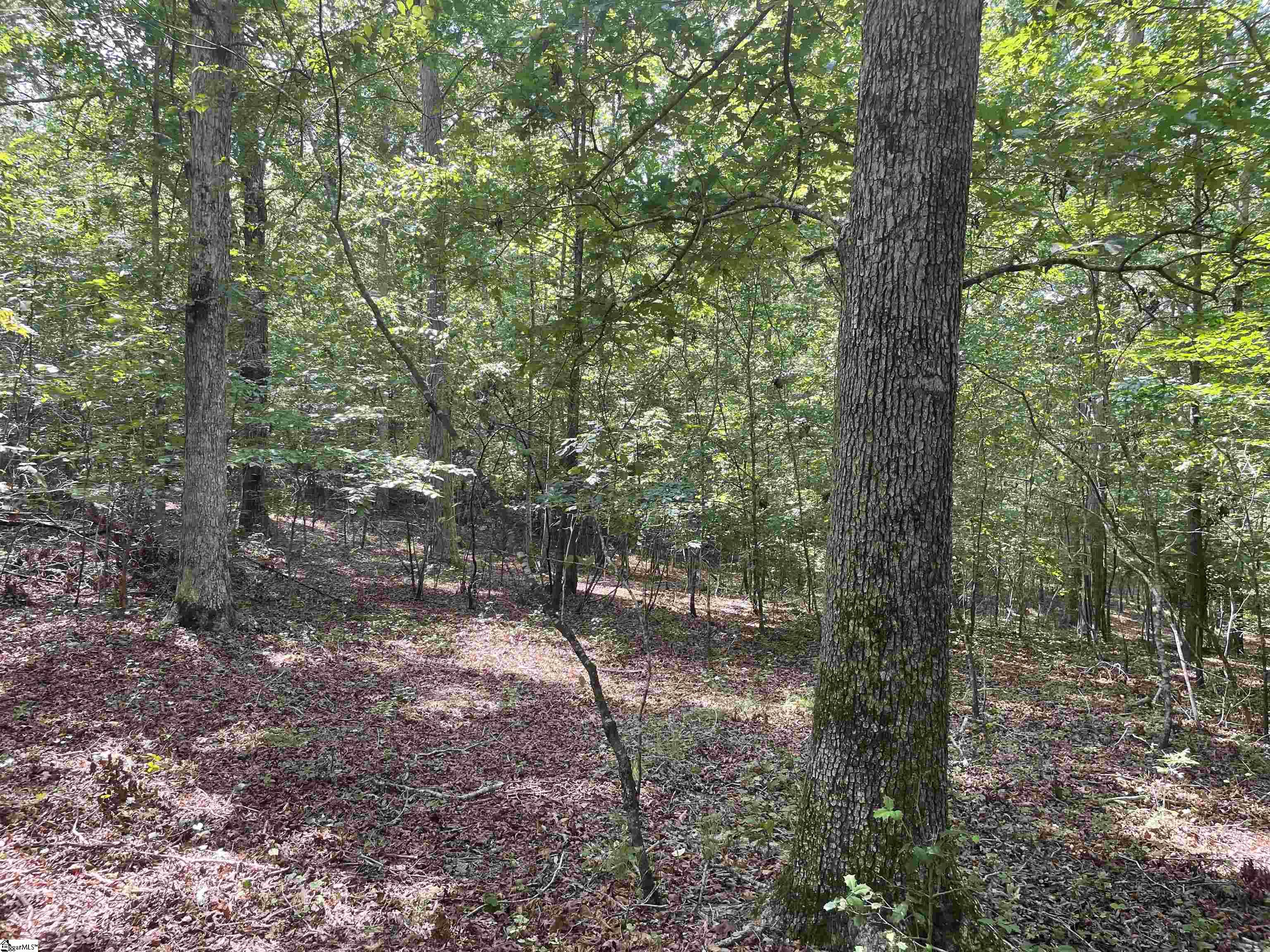 00 River Road Piedmont, SC 29673