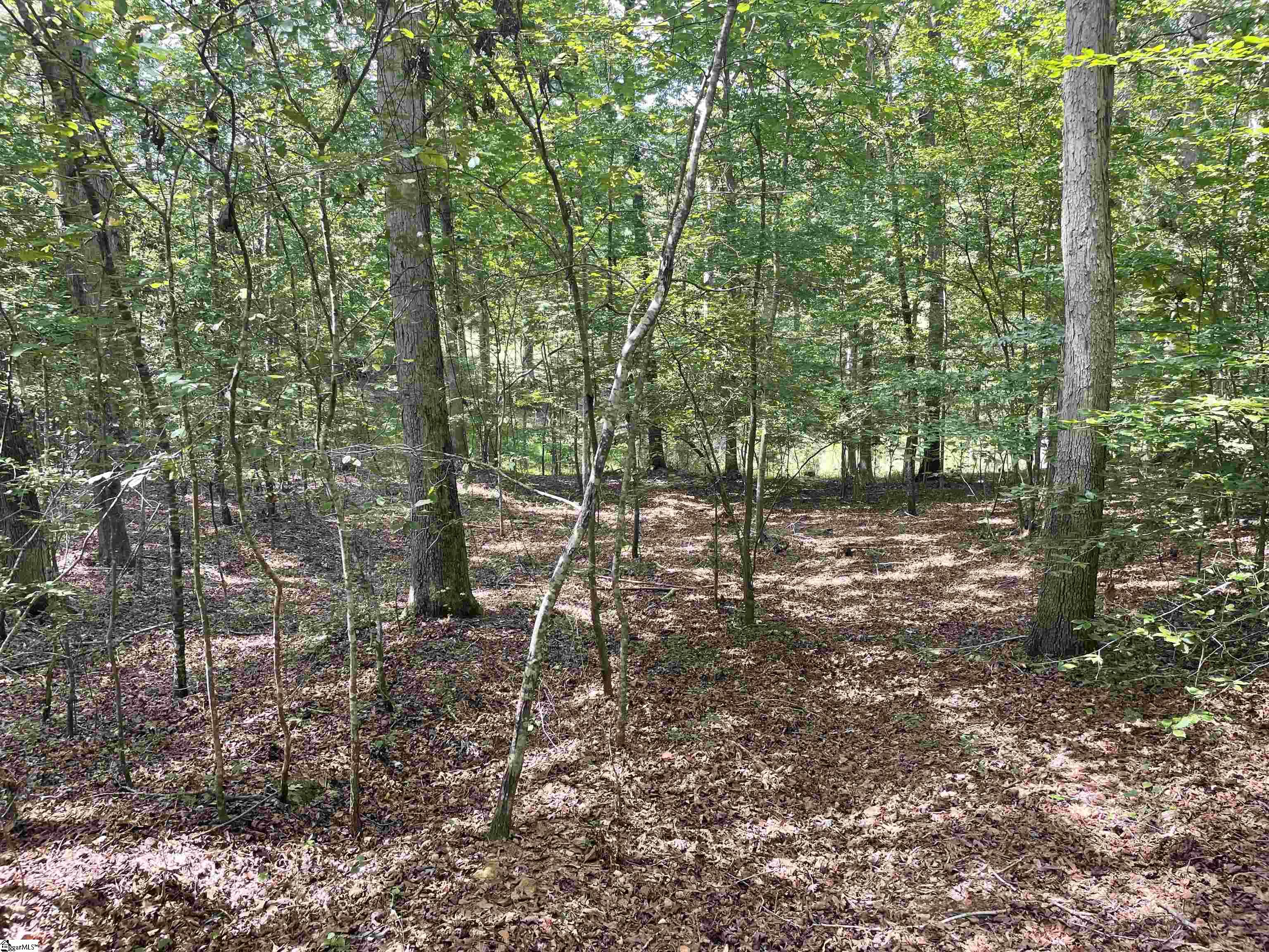 00 River Road Piedmont, SC 29673