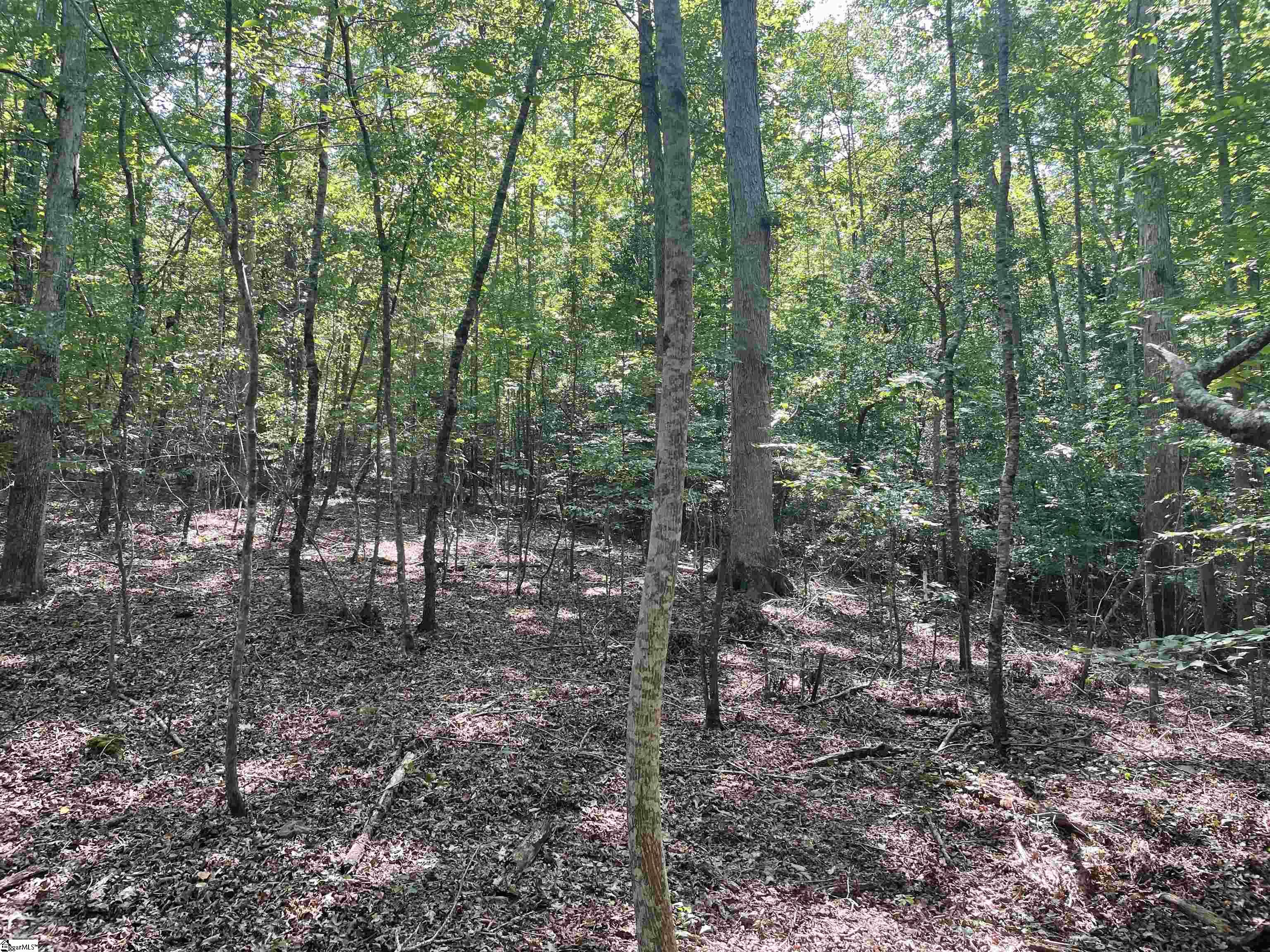 00 River Road Piedmont, SC 29673