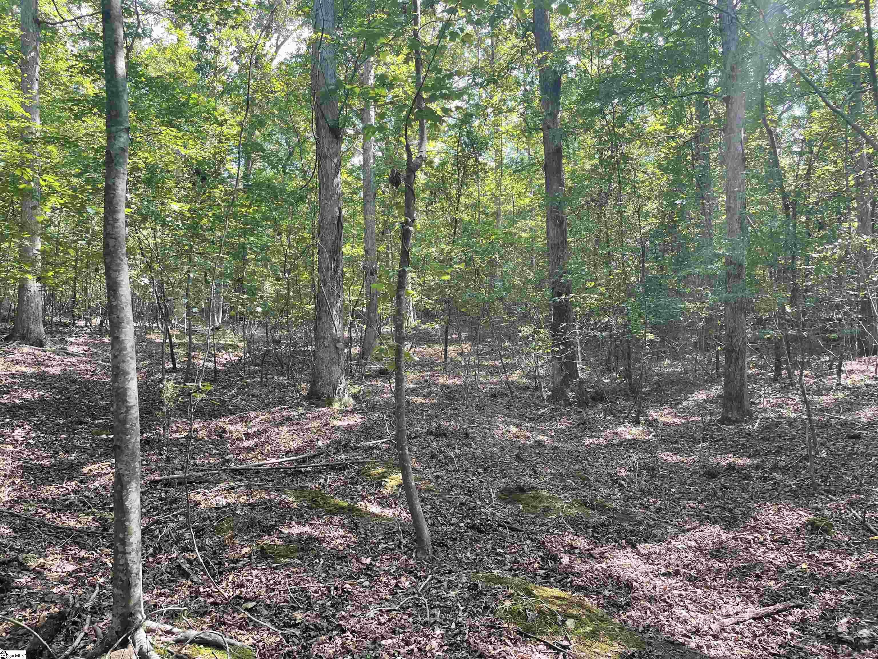 00 River Road Piedmont, SC 29673